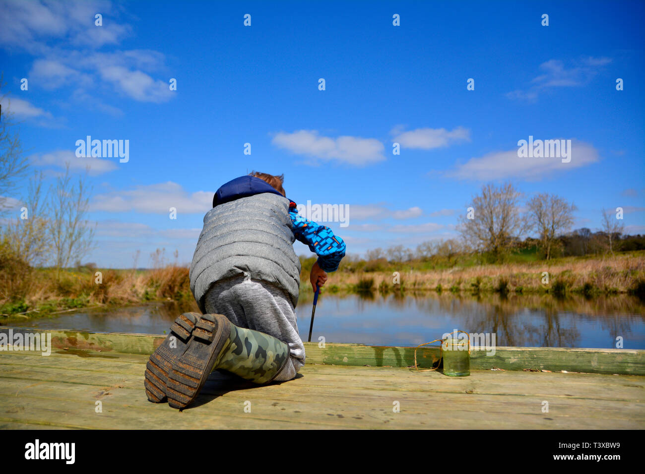 Teich, der junge eintaucht Fotos und Bildmaterial in hoher Auflösung
