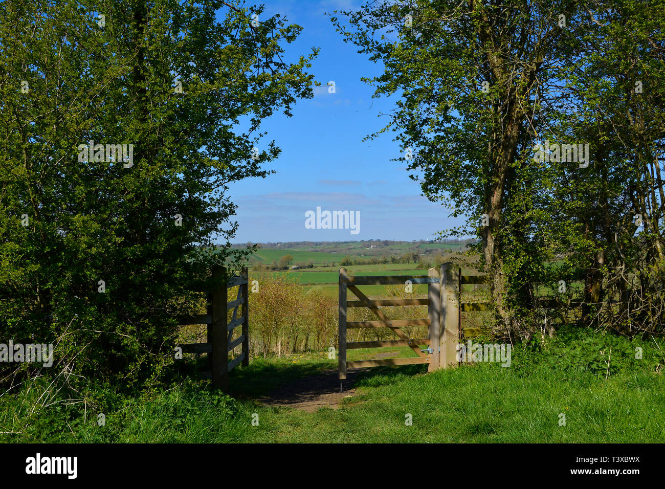 Pfad und die Öffnung des Gatters auf offene Landschaft und Feldern mit Baum neben dem Tor sommer sonne Konzept - Bild GROSSBRITANNIEN GROSSBRITANNIEN Stockfoto