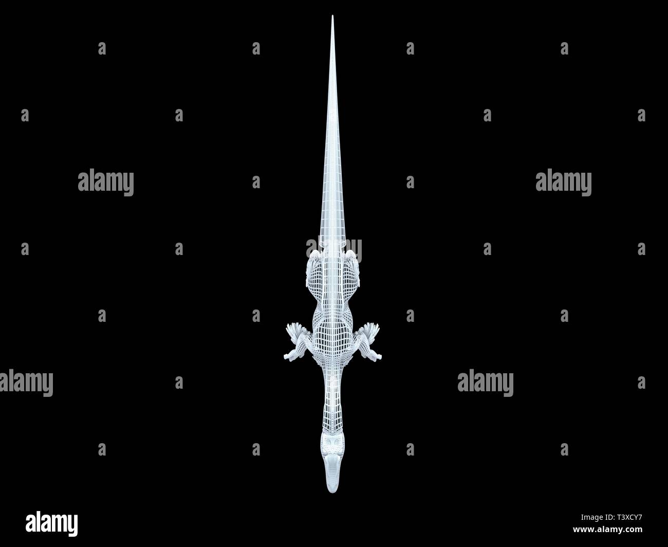 3D-Rendering von einer weißen Kabel dino isoalted auf schwarzem Hintergrund Stockfoto