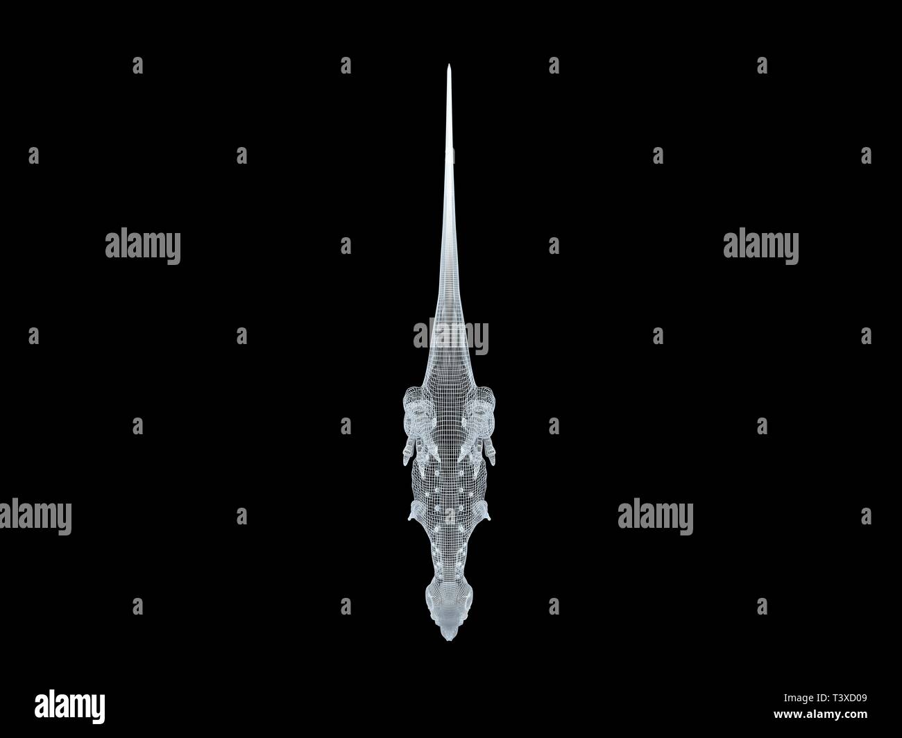 3D-Rendering von einer weißen Kabel dino isoalted auf schwarzem Hintergrund Stockfoto