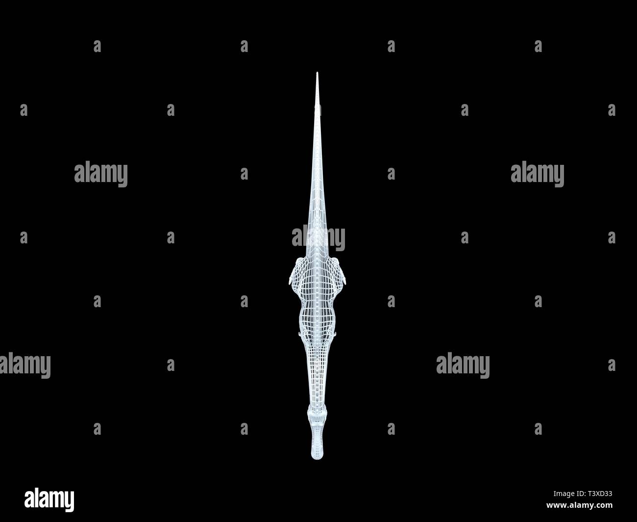 3D-Rendering von einer weißen Kabel dino isoalted auf schwarzem Hintergrund Stockfoto
