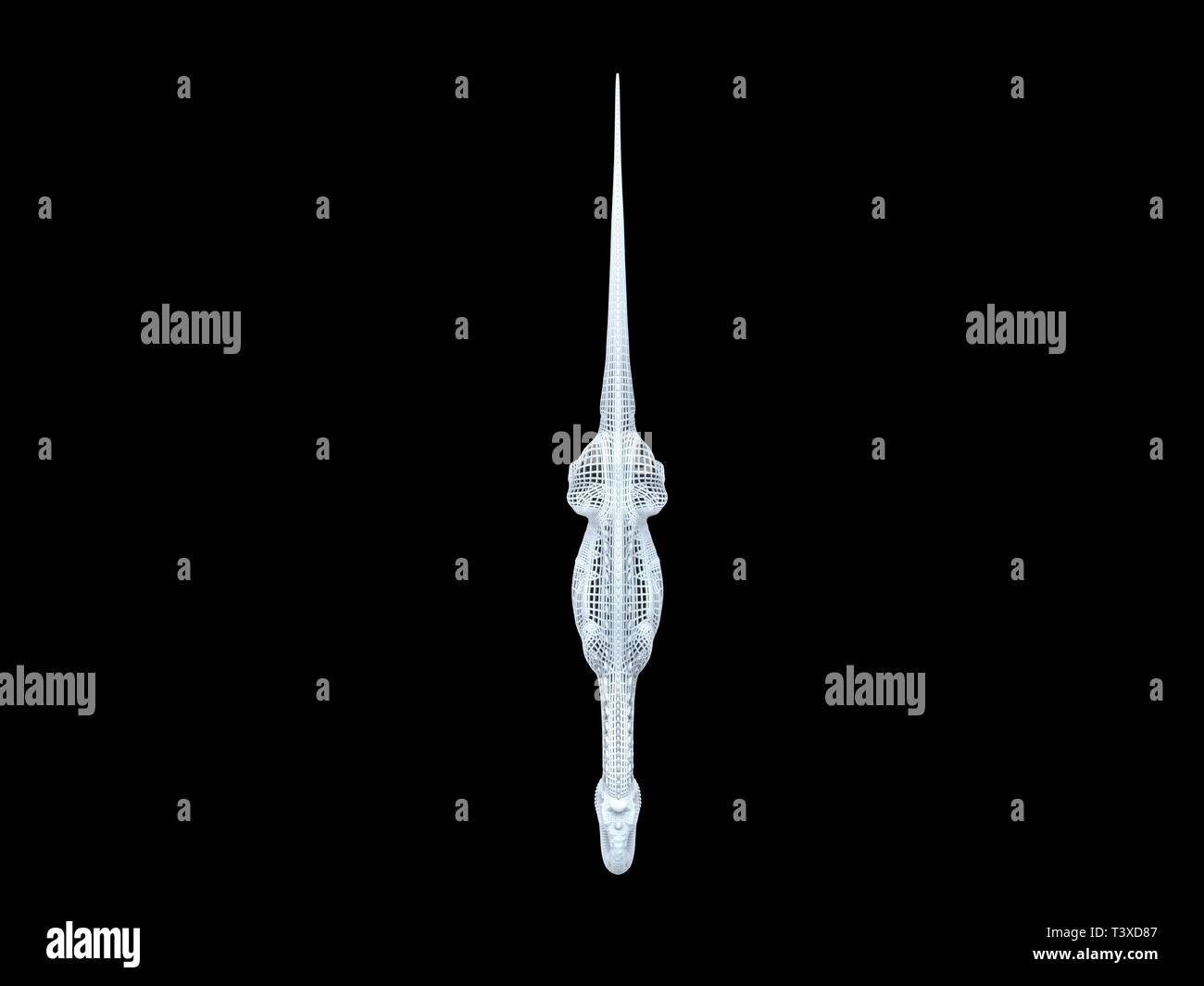 3D-Rendering von einer weißen Kabel dino isoalted auf schwarzem Hintergrund Stockfoto