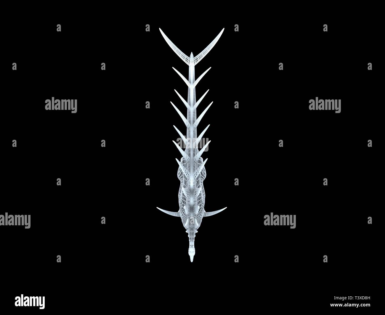 3D-Rendering von einer weißen Kabel dino isoalted auf schwarzem Hintergrund Stockfoto