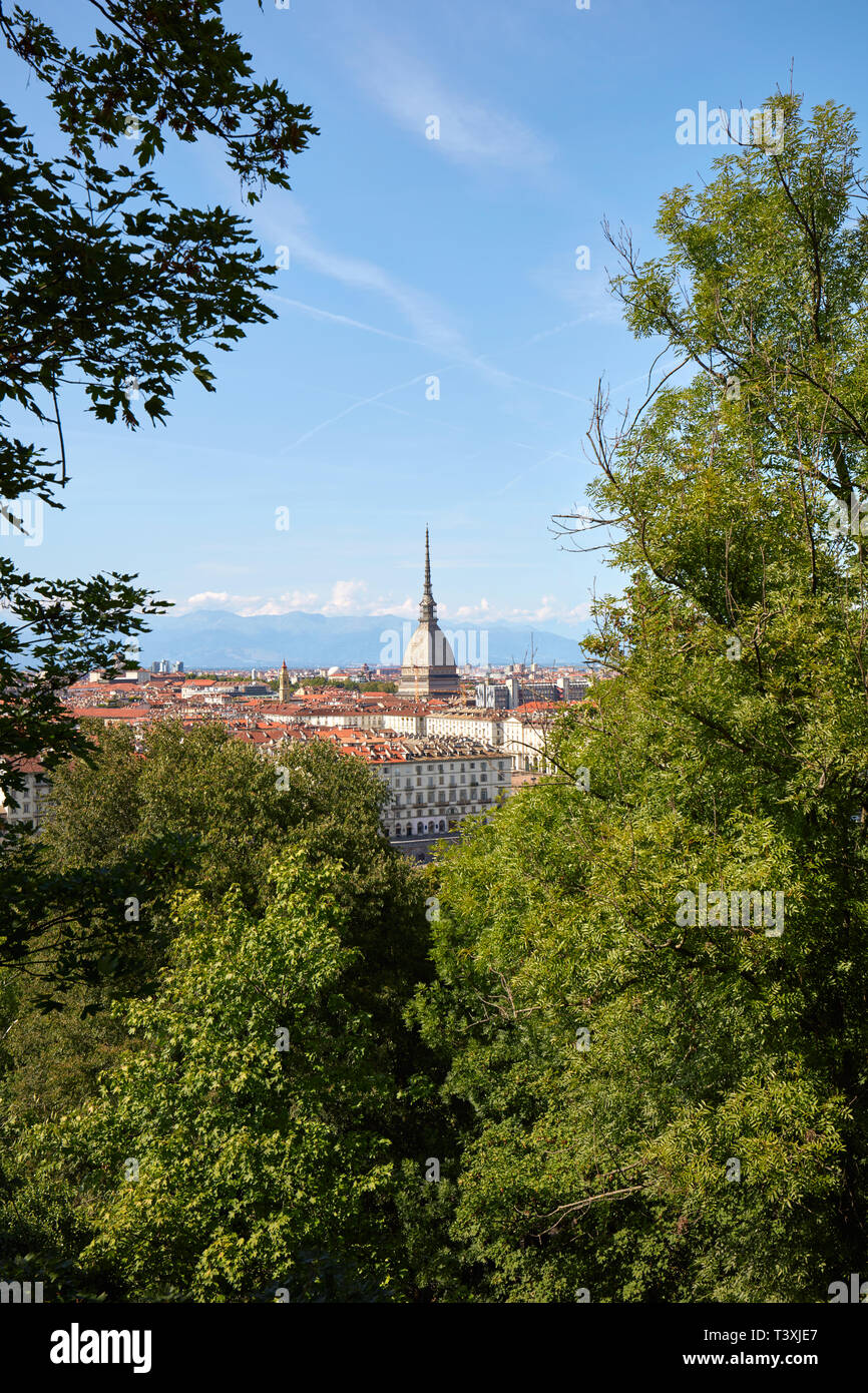 Mole Antonelliana Turm und Turin City von Bäumen in einem sonnigen Sommertag in Italien gerahmt Stockfoto