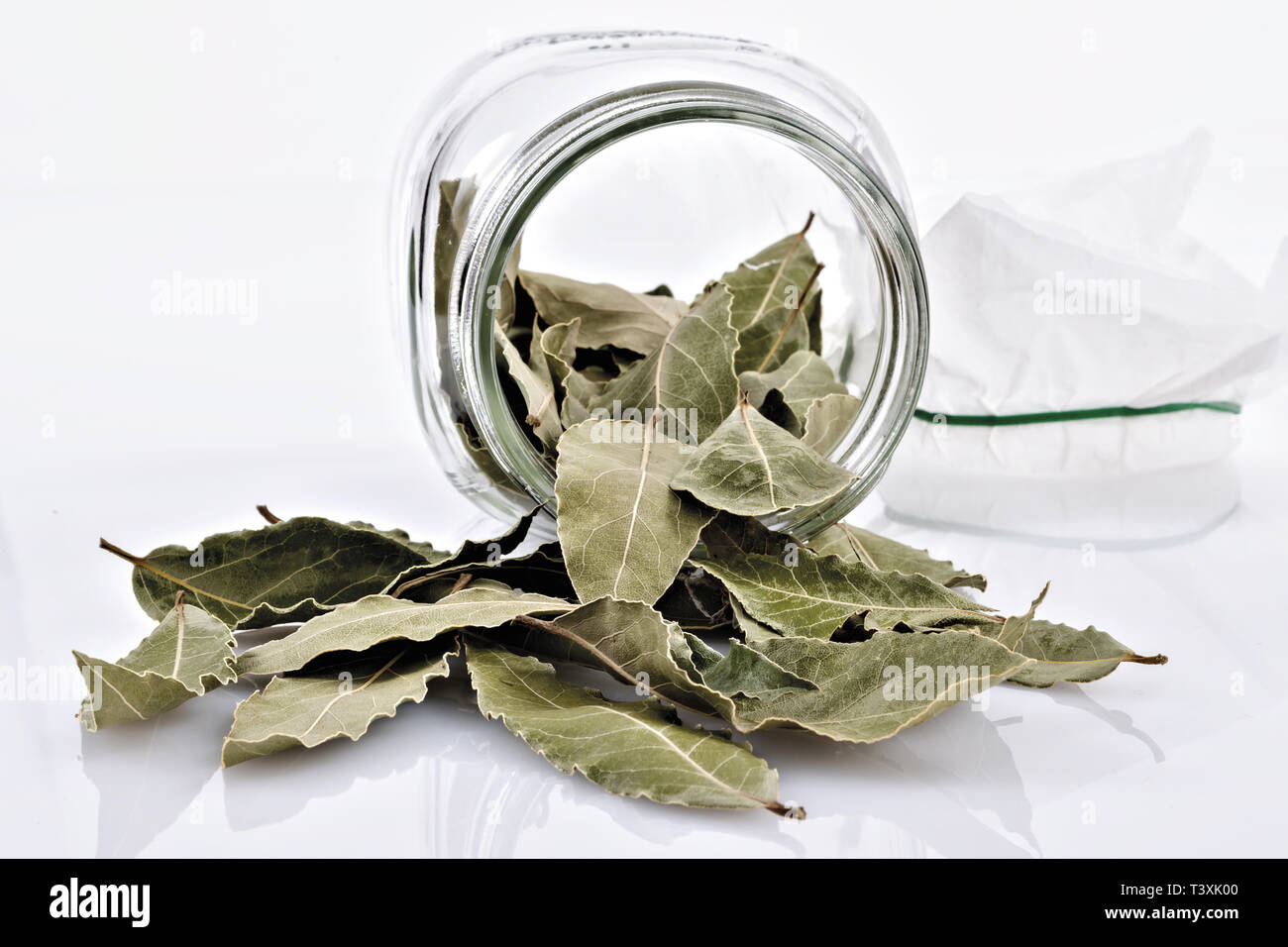 Alloro foglie secche in vaso di Vetro rovesciato altra Vista Stockfoto