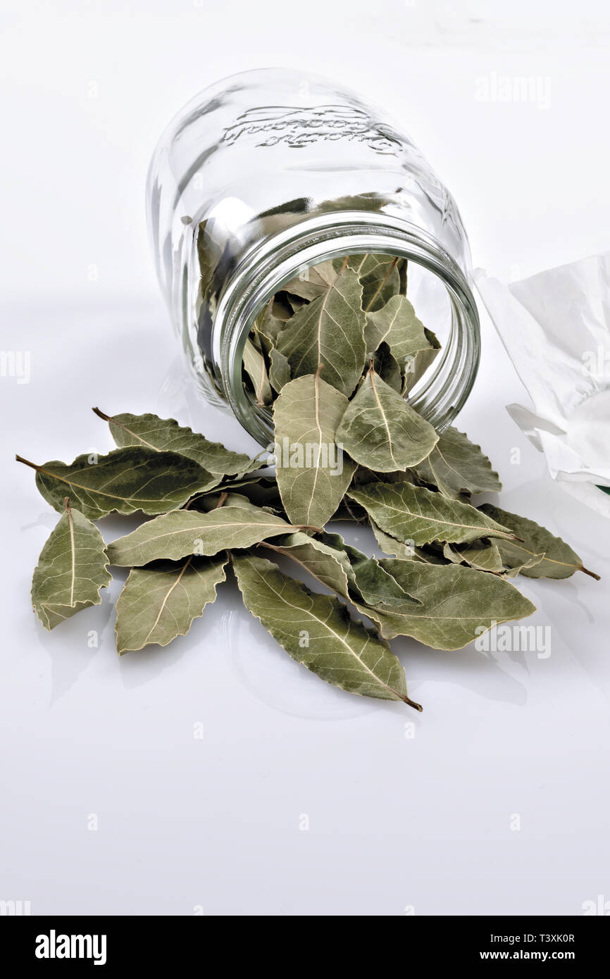 Alloro foglie secche in vaso di Vetro rovesciato Verticale Stockfoto