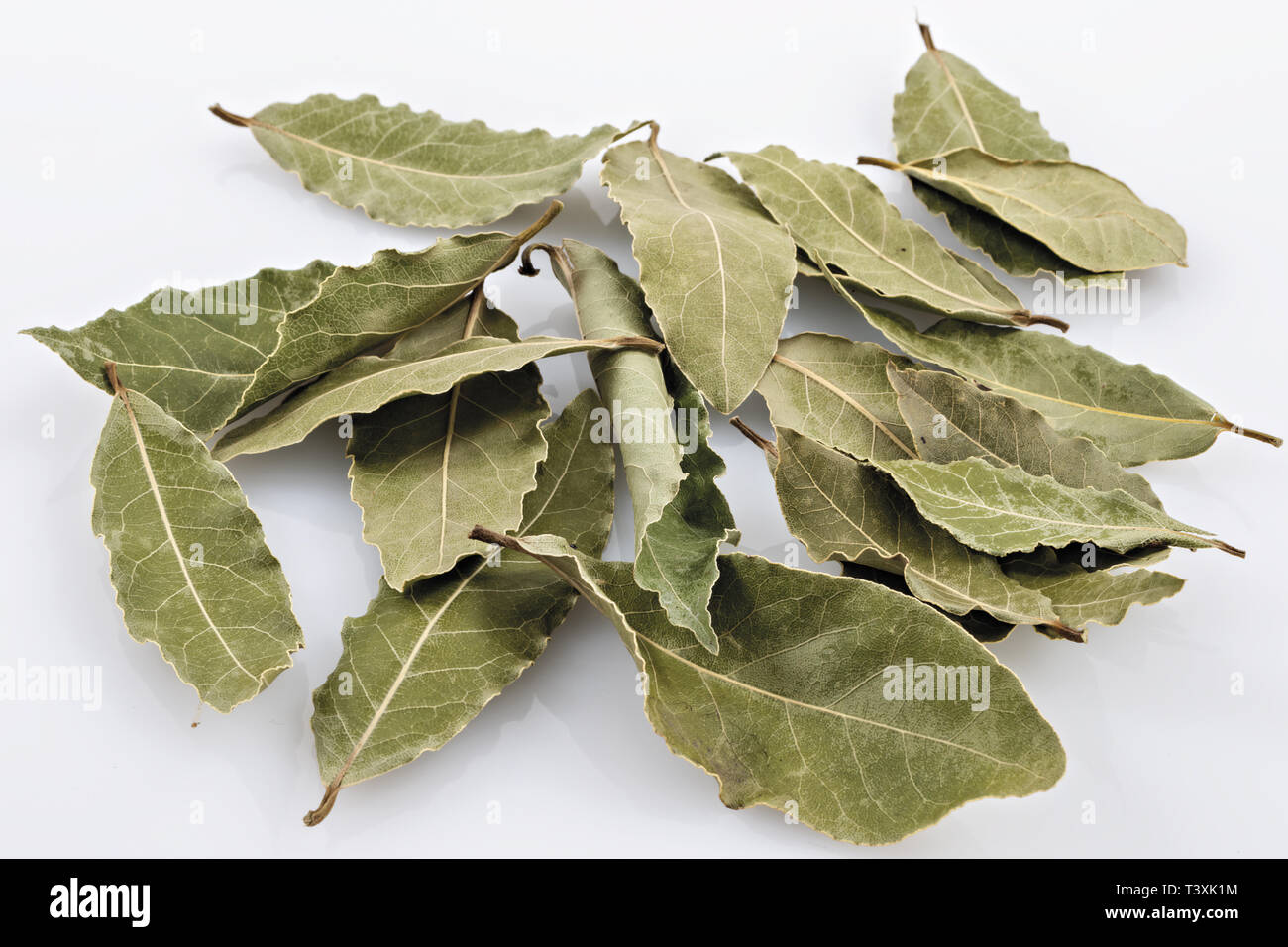Alloro foglie secche Orizzontale Stockfoto