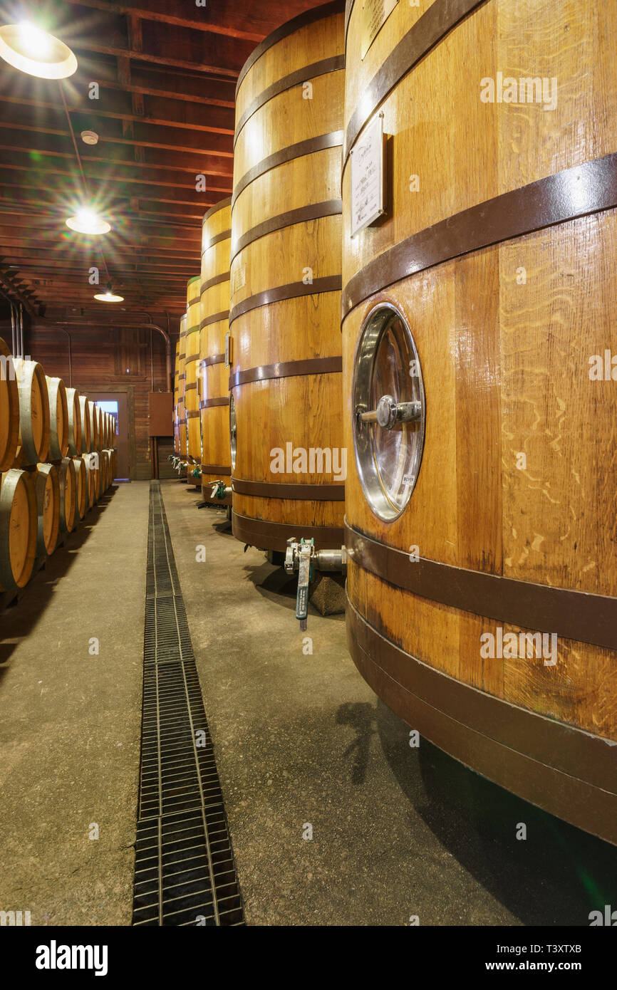 Nahaufnahme von Weinfässer im Keller Stockfoto