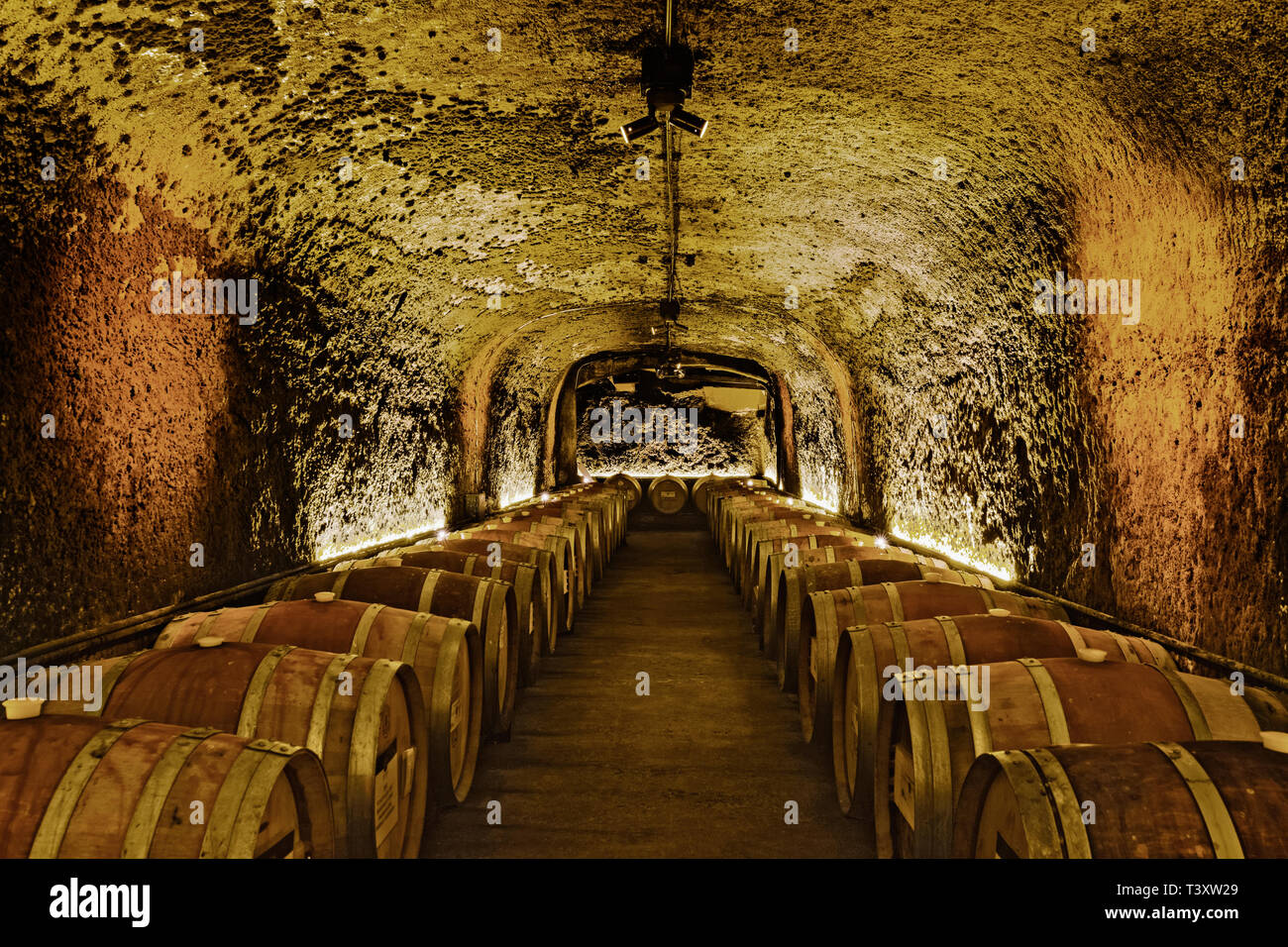 Weinfässer im Keller der Höhle Stockfoto