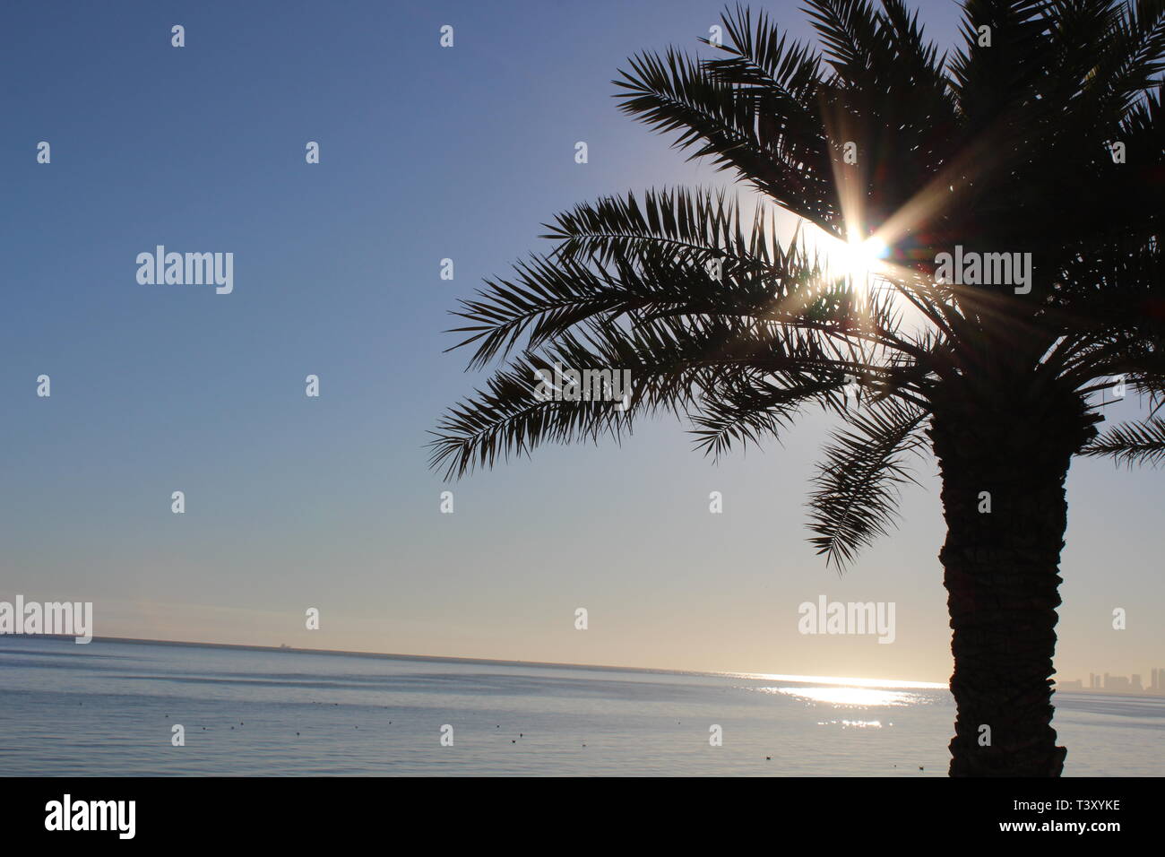 Kuwait Natur Schönheit bei Tag und Nacht Stockfoto