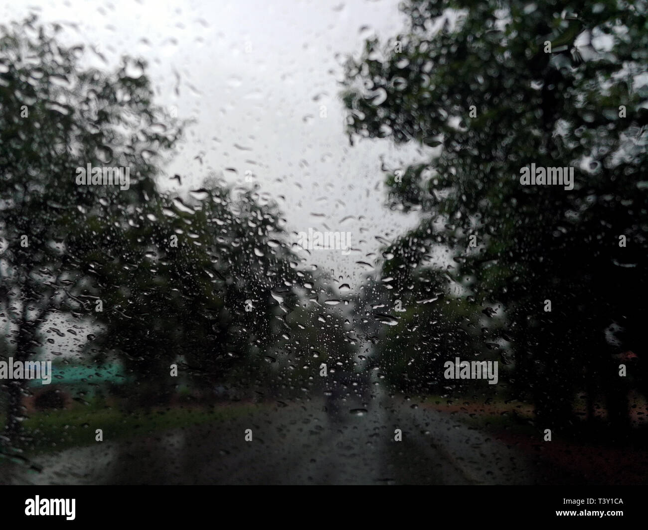 Regen fällt auf das Auto Glas Fenster mit Straße in der Regenzeit Abstract Background, Wassertropfen auf dem Glas, Nacht Sturm Regen Autofahren Konzept. Stockfoto