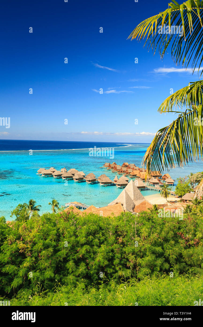 Palmen mit Blick auf tropischen Resort, Bora Bora, Französisch-Polynesien Stockfoto