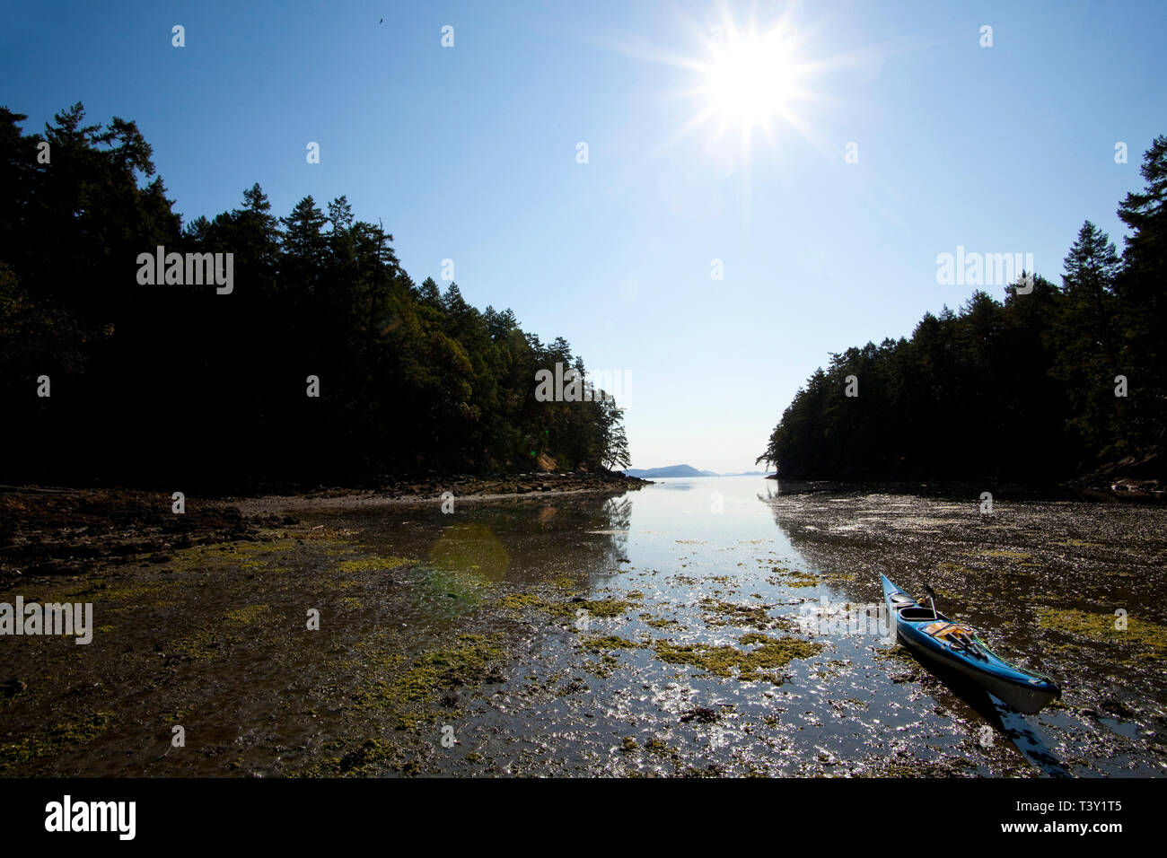 Boot Liegeplatz im trüben Wasser, Gulf Islands, British Columbia, Kanada Stockfoto