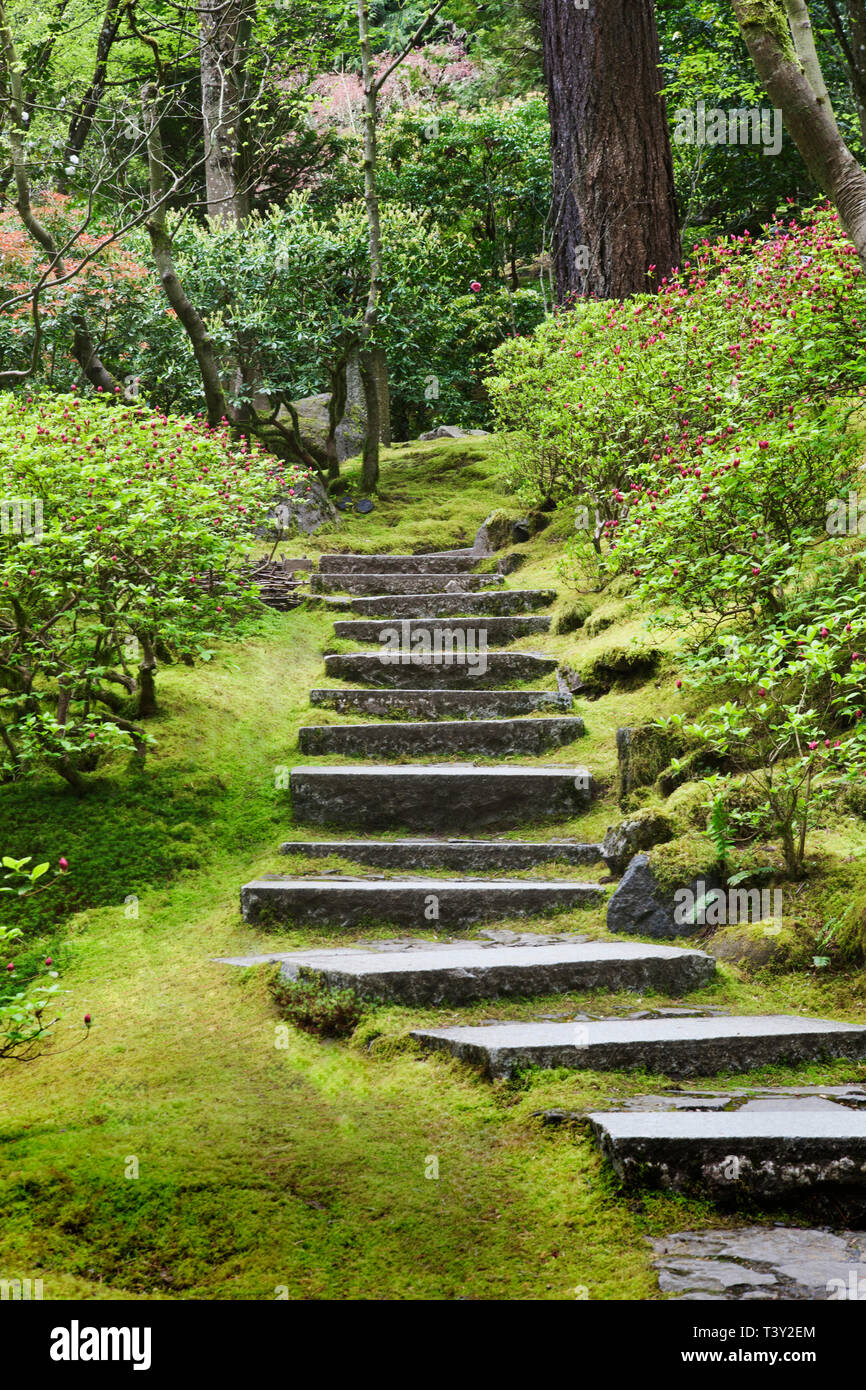 Steinstufen im japanischen Garten, Portland, Oregon, Vereinigte Staaten von Amerika Stockfoto