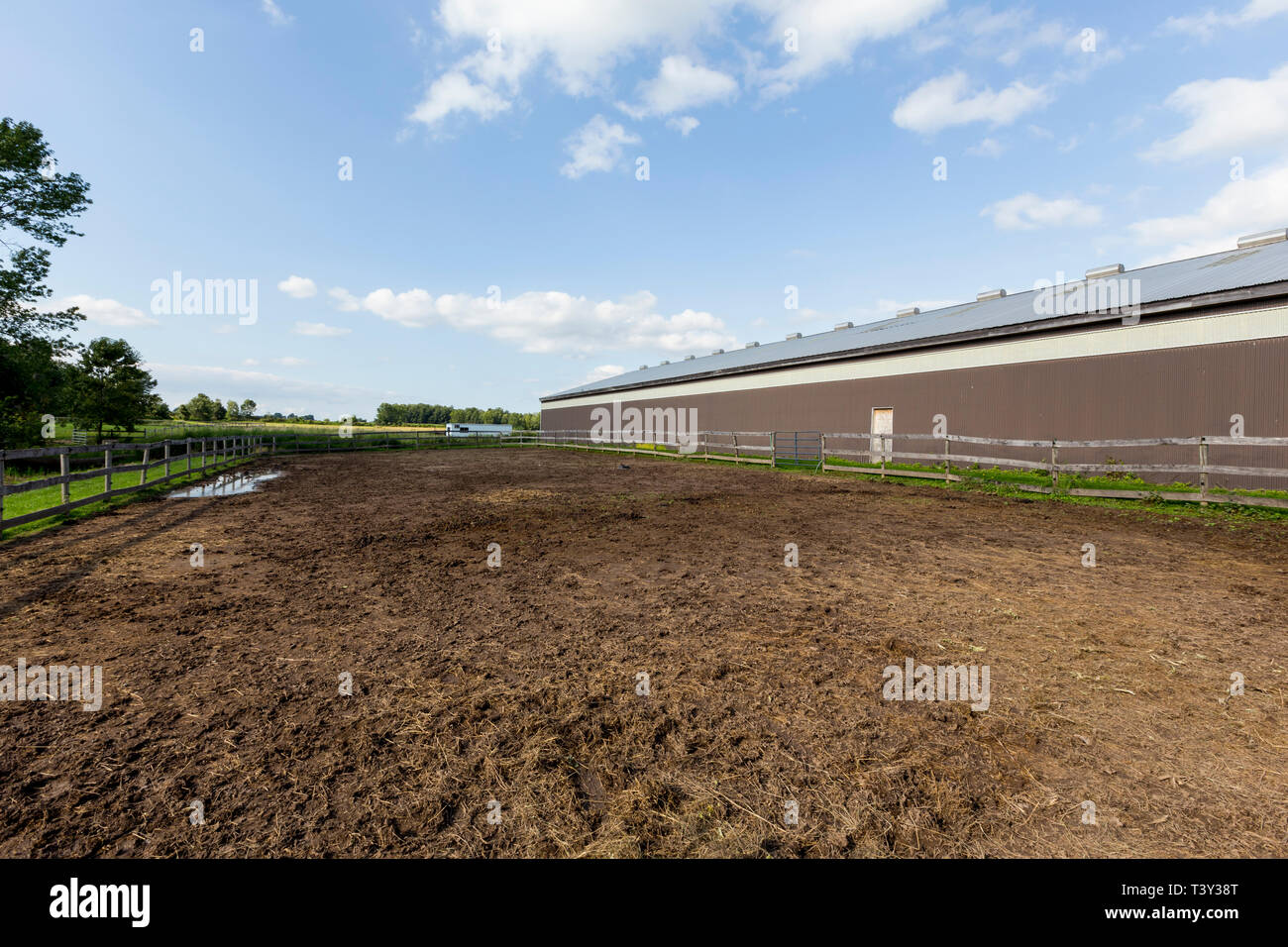 Open space und landwirtschaftlichen Gebäuden, Schuppen, in die Landschaft. Stockfoto