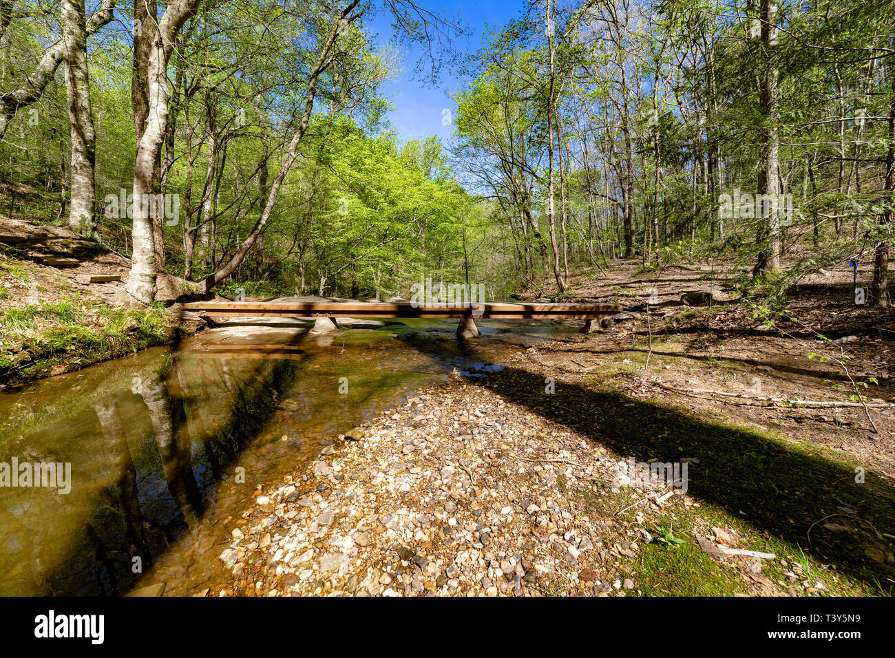 Der Fuß Brücke über Cane Creek bietet einen einfachen Zugang zu den Wasserfall auf der anderen Seite der Brücke. Die Cane Creek Naturschutzgebiet im Nordwesten Alabam Stockfoto