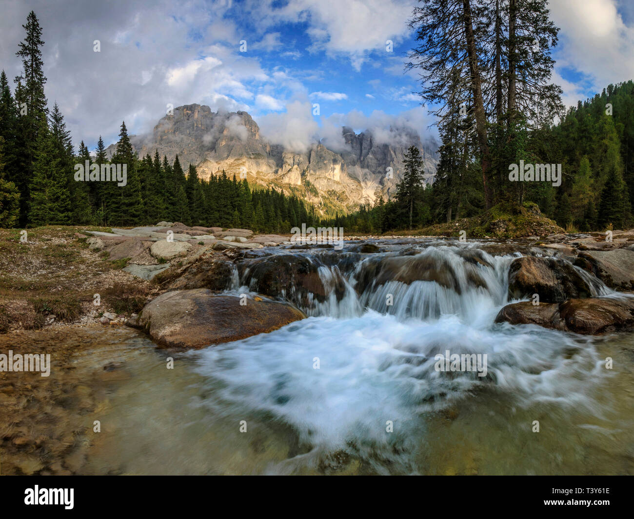 Val Vinegia, einem kleinen Tal unterhalb der Höhe Pass von Passo Rolle in der Pale di San Martino Gruppe, Dolomiten, Italien. Die beeindruckenden Gipfel der Stockfoto