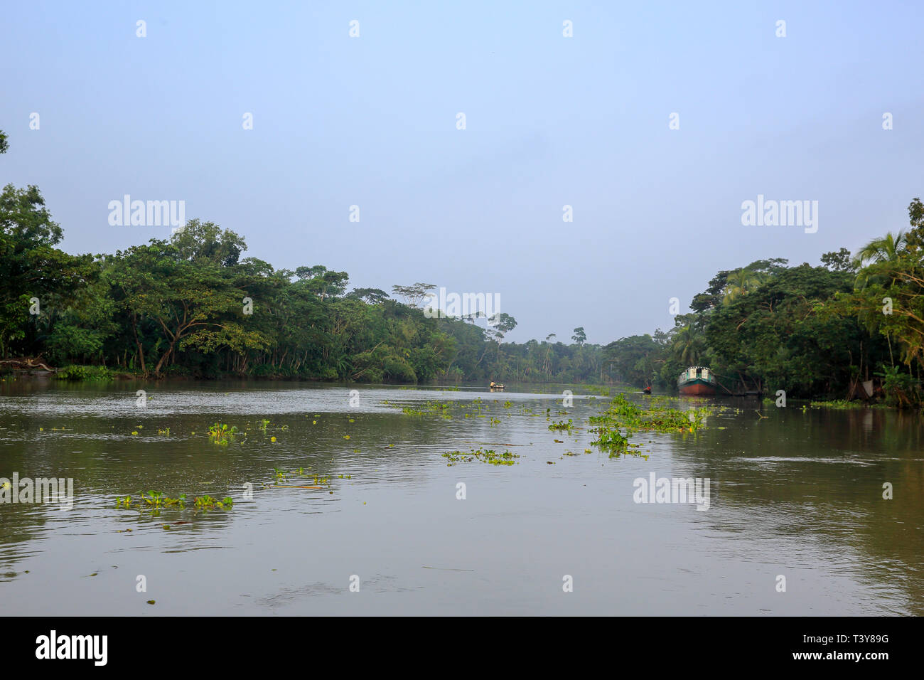 Das Leben rund um den Sondha River. Pirojpur, Bangladesch Stockfoto