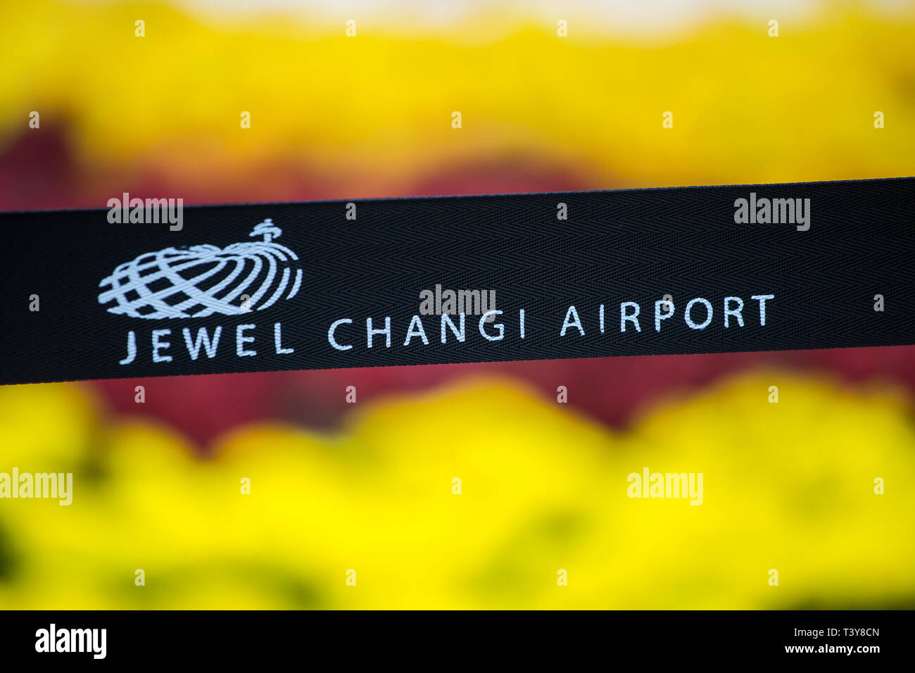 Jewel Changi Airport Wörter und Logo, schwarzer Gürtel Singapur Stockfoto