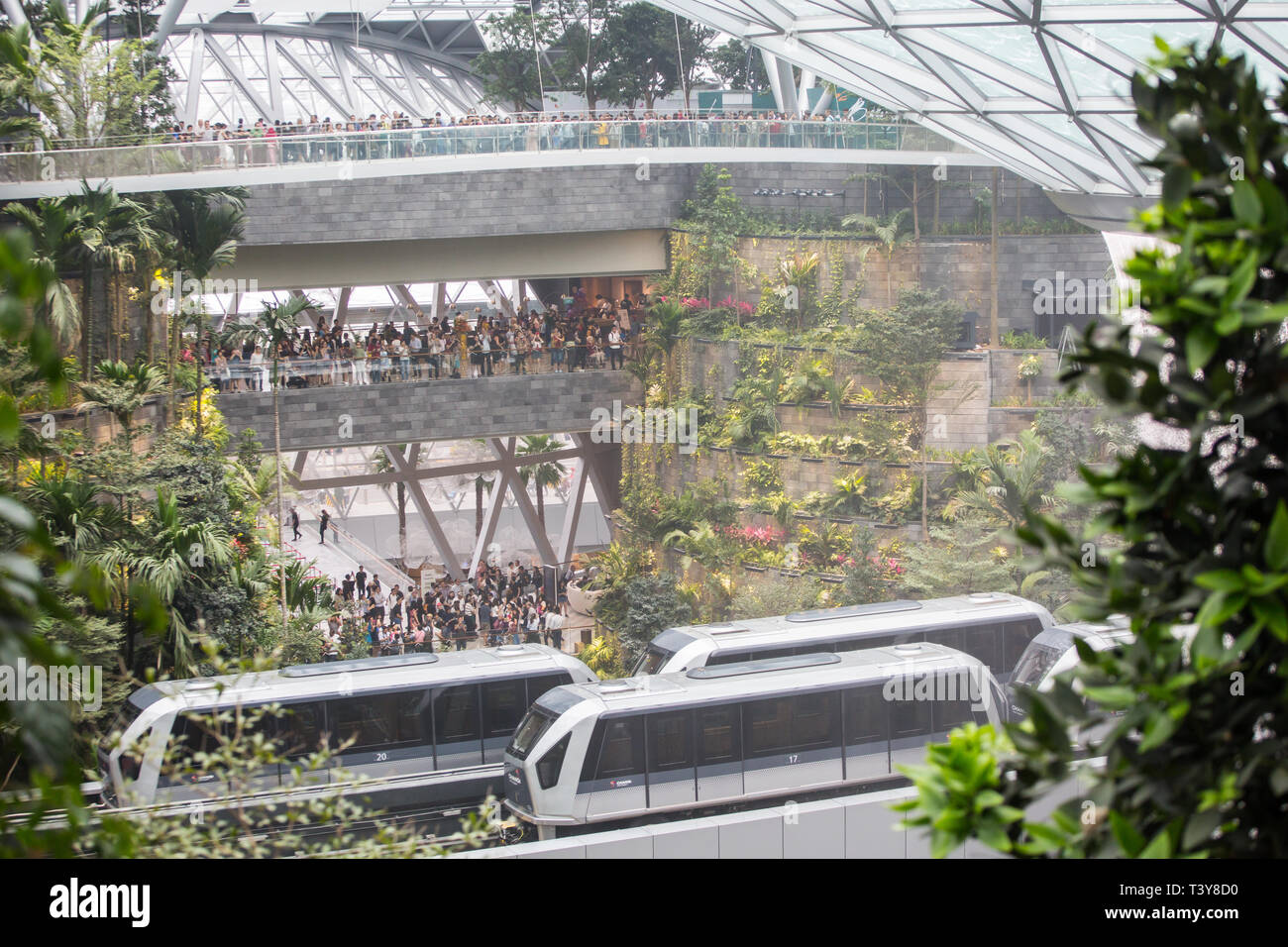 Am Jewel Changi Airport gibt es eine überfüllte Szene, in der Besucher die wunderschöne Inneneinrichtung erkunden können. Singapur Stockfoto