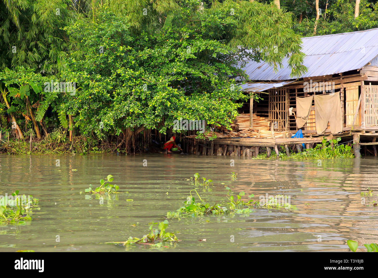 Das Leben rund um den Sondha River. Pirojpur, Bangladesch Stockfoto