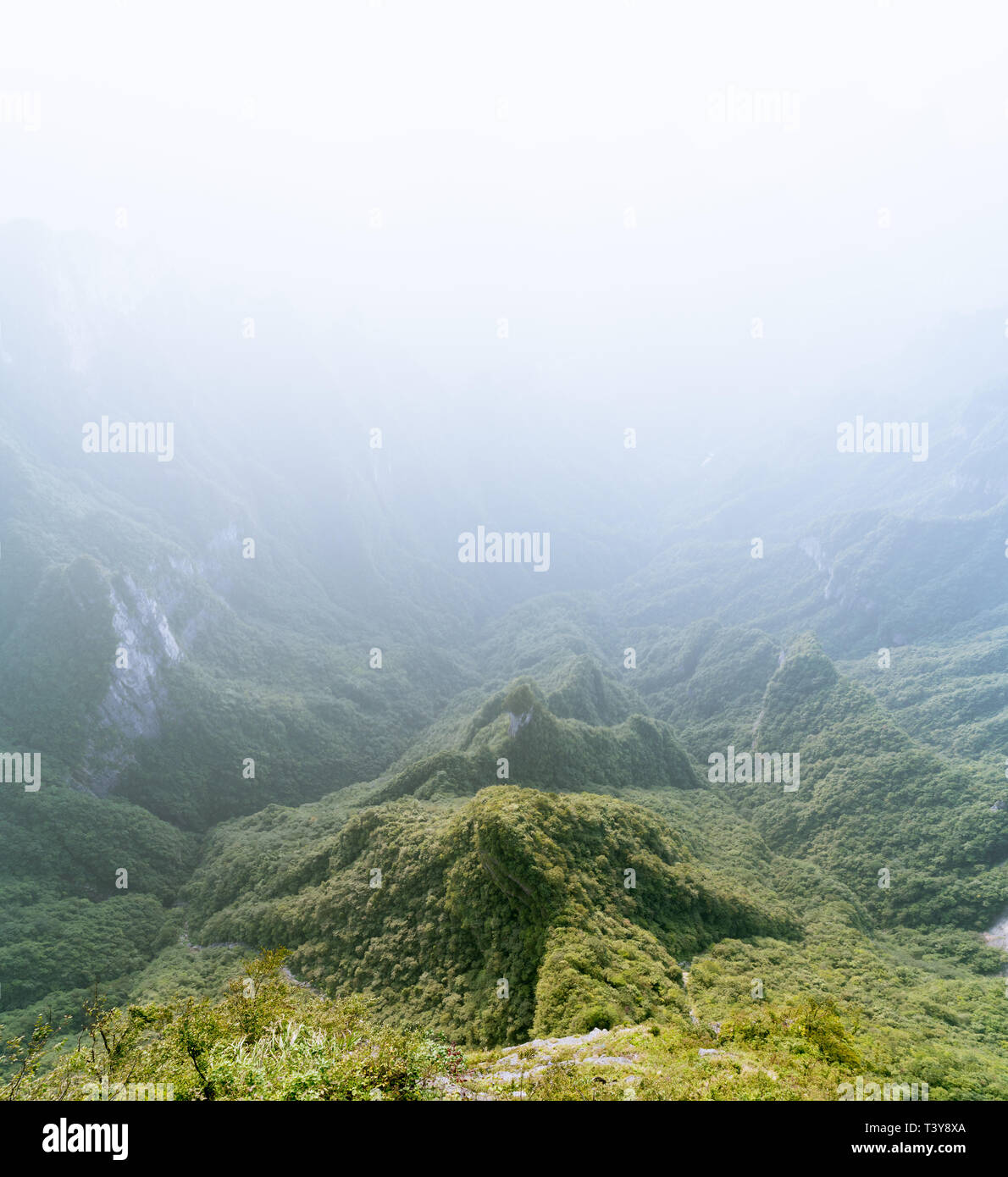 Tianmen Mountain dunstigen Landschaft in Granby, Provinz Hunan, China Stockfoto