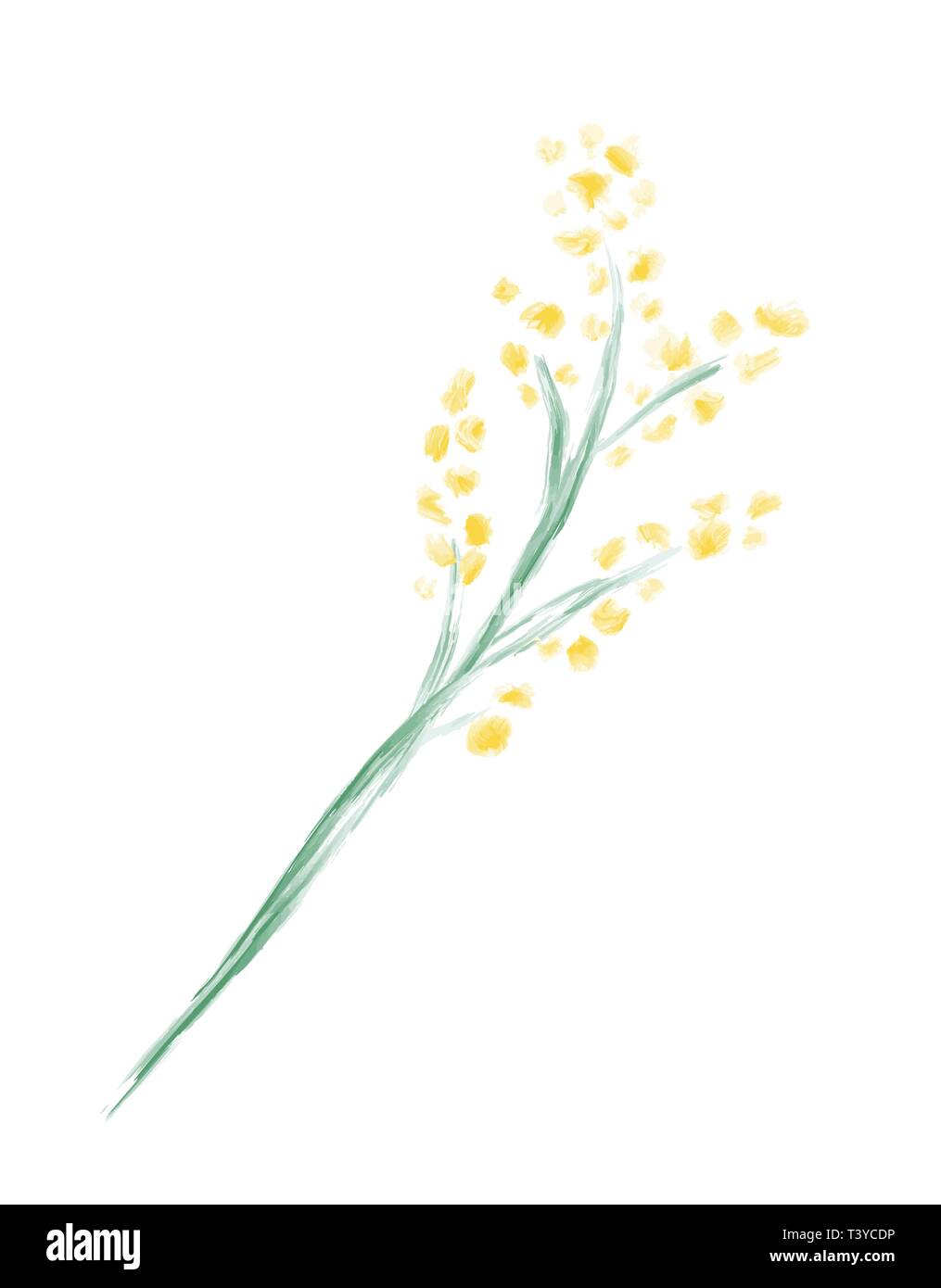 Cute Frühling Aquarell Vektor Blume Mimose. Art isoliertes Objekt für Wedding Bouquet Stock Vektor