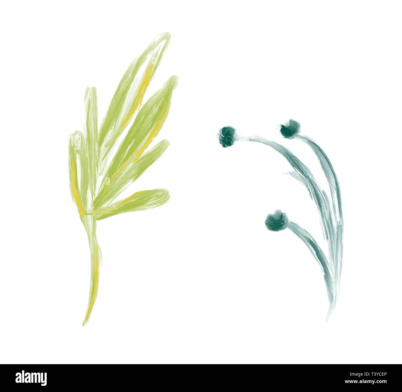 Satz von niedlichen Frühling aquarell Hand gezeichnet Vektor Blume. Art isoliertes Objekt Illustrationen für Wedding Bouquet. Auf weissem Hintergrund Stock Vektor