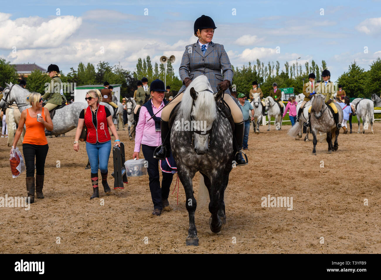Weibliche Teilnehmer in der Pferdeartigen Klasse in Reitbekleidung & Hut rittlings graues Pferd Pony (Wettbewerber in der Praxis Ring) - tolle Yorkshire, England, UK gekleidet Stockfoto