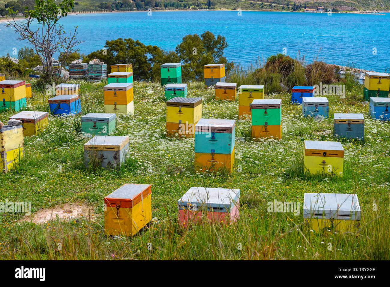 Mehrfarbige bienenstock Boxen an einem Hang mit Blick auf das Meer, Nafplion, Griechenland Stockfoto