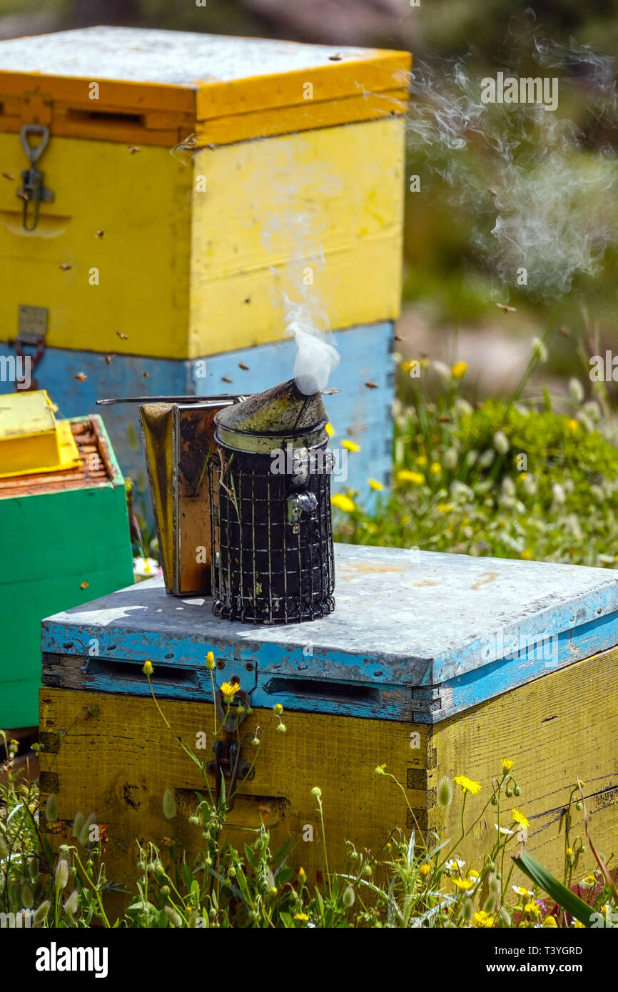 Mehrfarbige bienenstock Boxen und Rauch, an einem Hang mit Blick auf das Meer, Nafplion, Griechenland Stockfoto