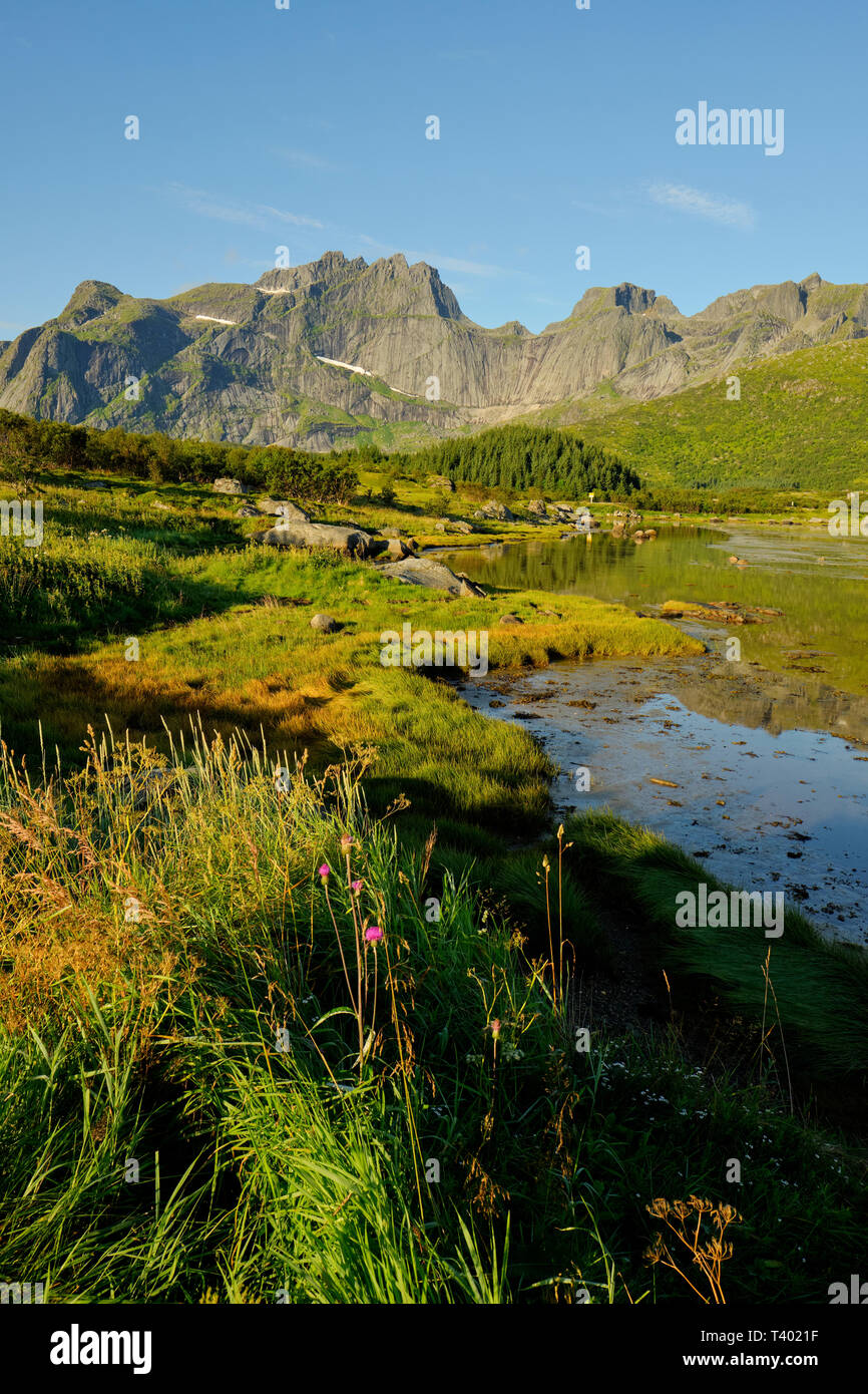 Die robuste Sommer Küste und die Berglandschaft der Insel Flakstadøya im Archipel in Nordland Lofoten norwegen Stockfoto