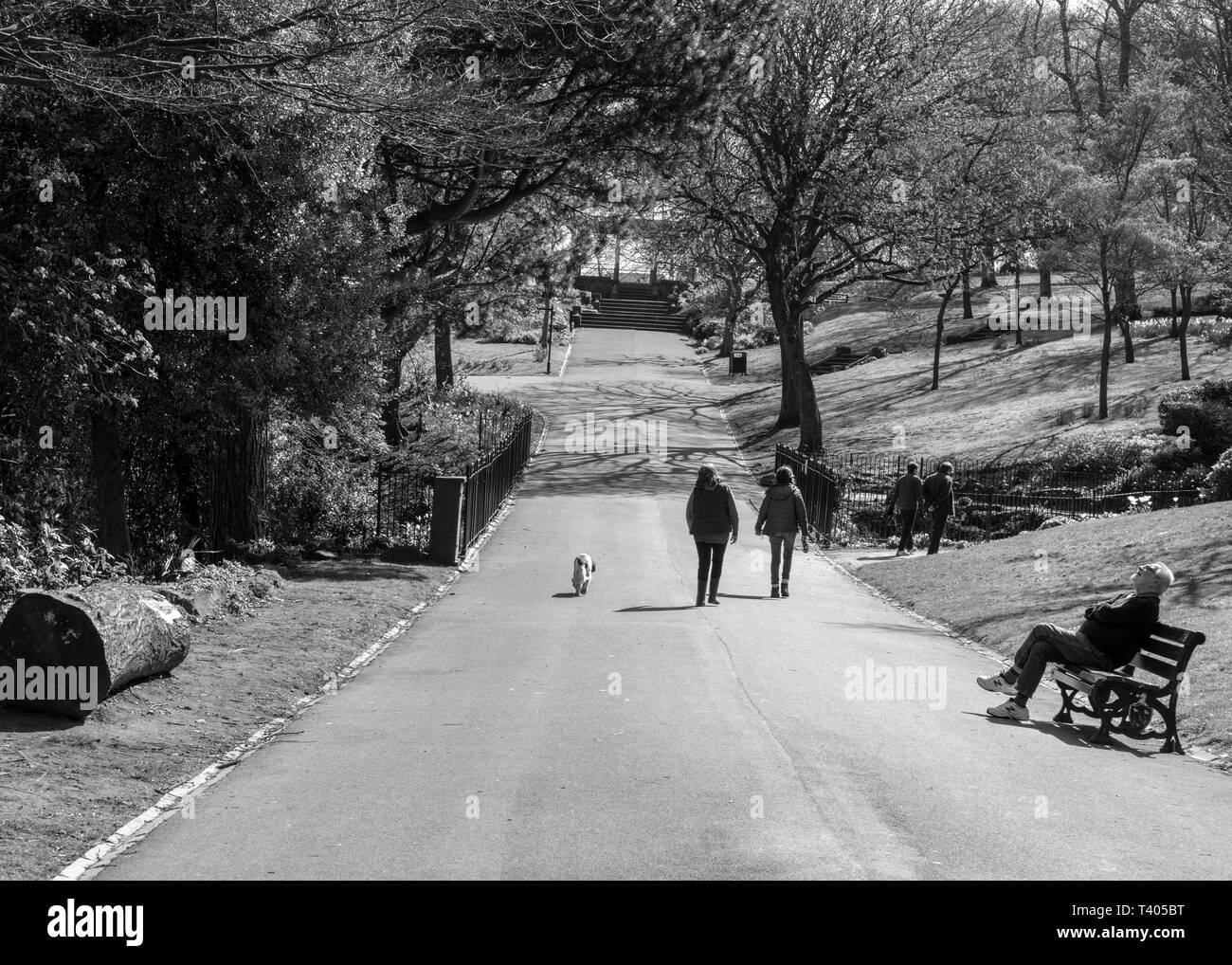 Park Beaumont, Huddersfield, Großbritannien an einem Frühlingstag. Ein Mann einen Moment zur Ruhe, als er in den Himmel sieht, wie andere den Park genießen. Stockfoto