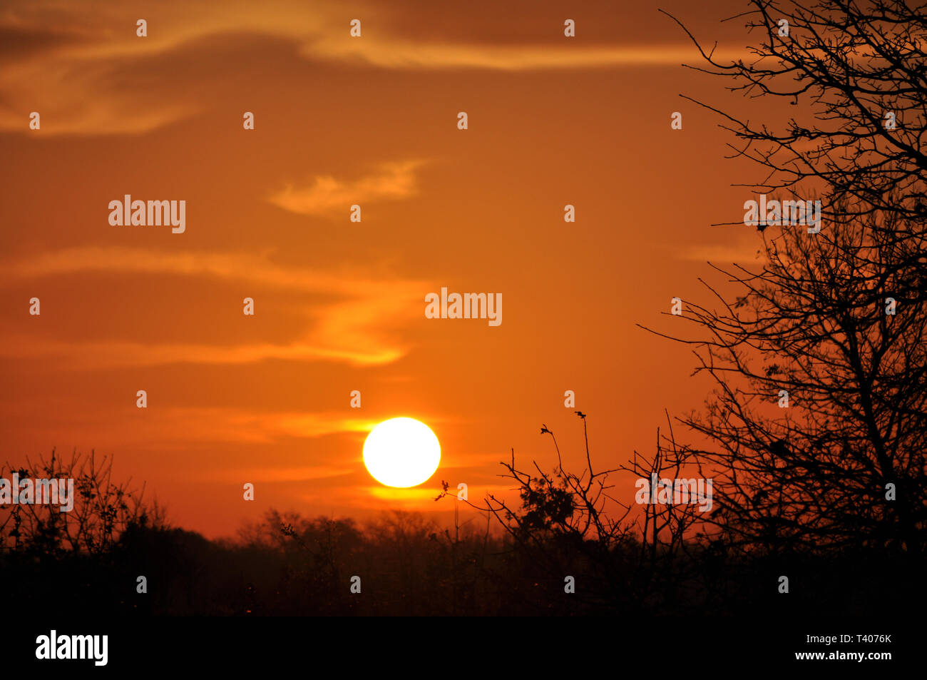 Sonnenaufgang über ländliche Landschaft, mit Himmel und Wolken glühend in tief orange Farbtöne Stockfoto