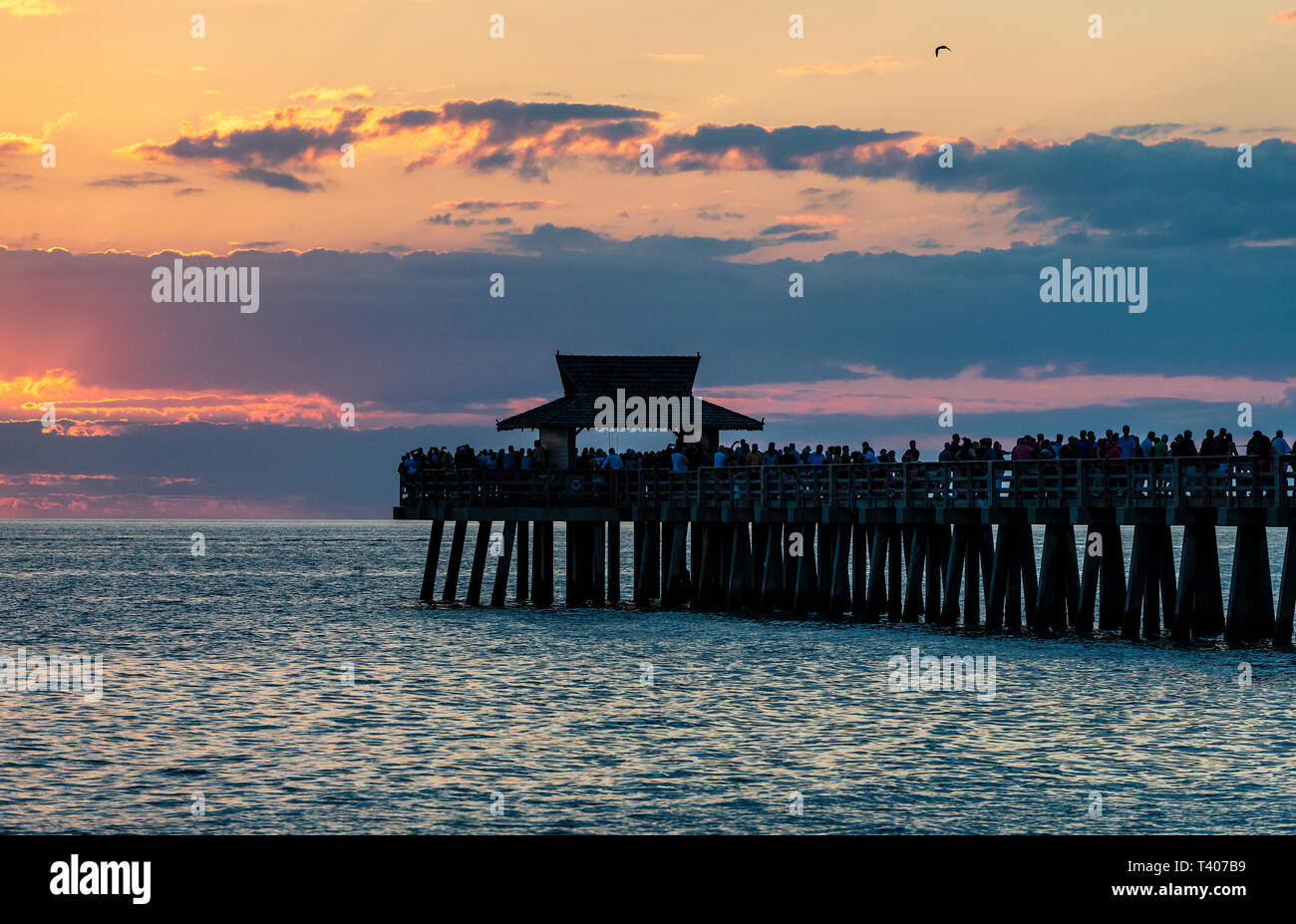 Naples Pier bei Sonnenuntergang, Naples, Florida, USA. Stockfoto
