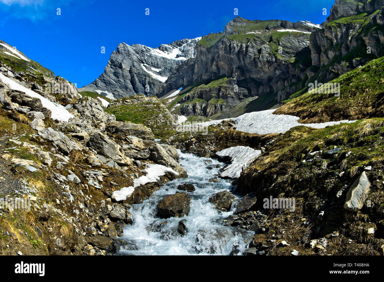 Mountain Stream in den hohen Bergen im Frühjahr, Grand Muveran, Ovronnaz, Wallis, Schweiz Stockfoto