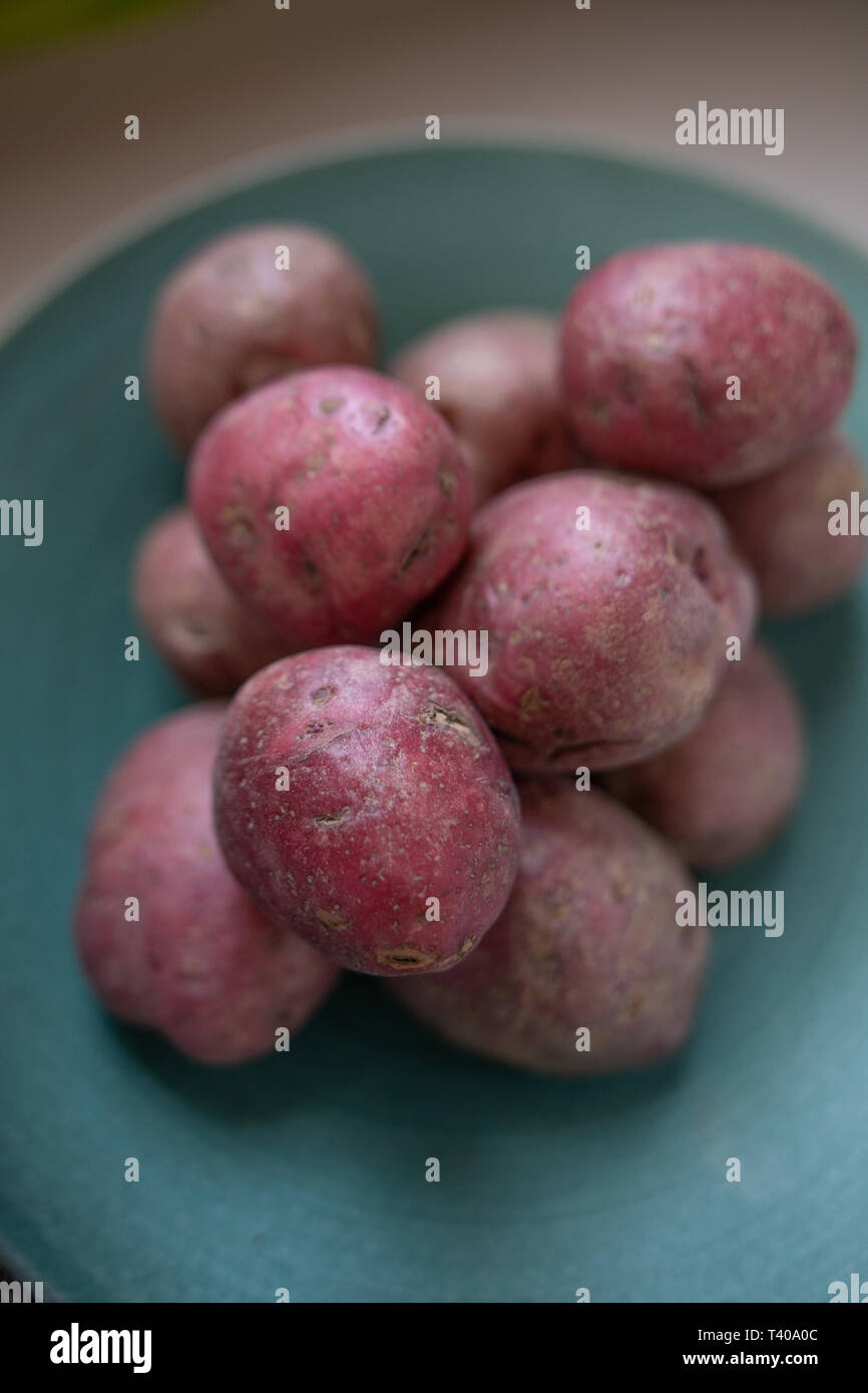 Rote haut Kartoffeln in eine Schüssel geben. Stockfoto