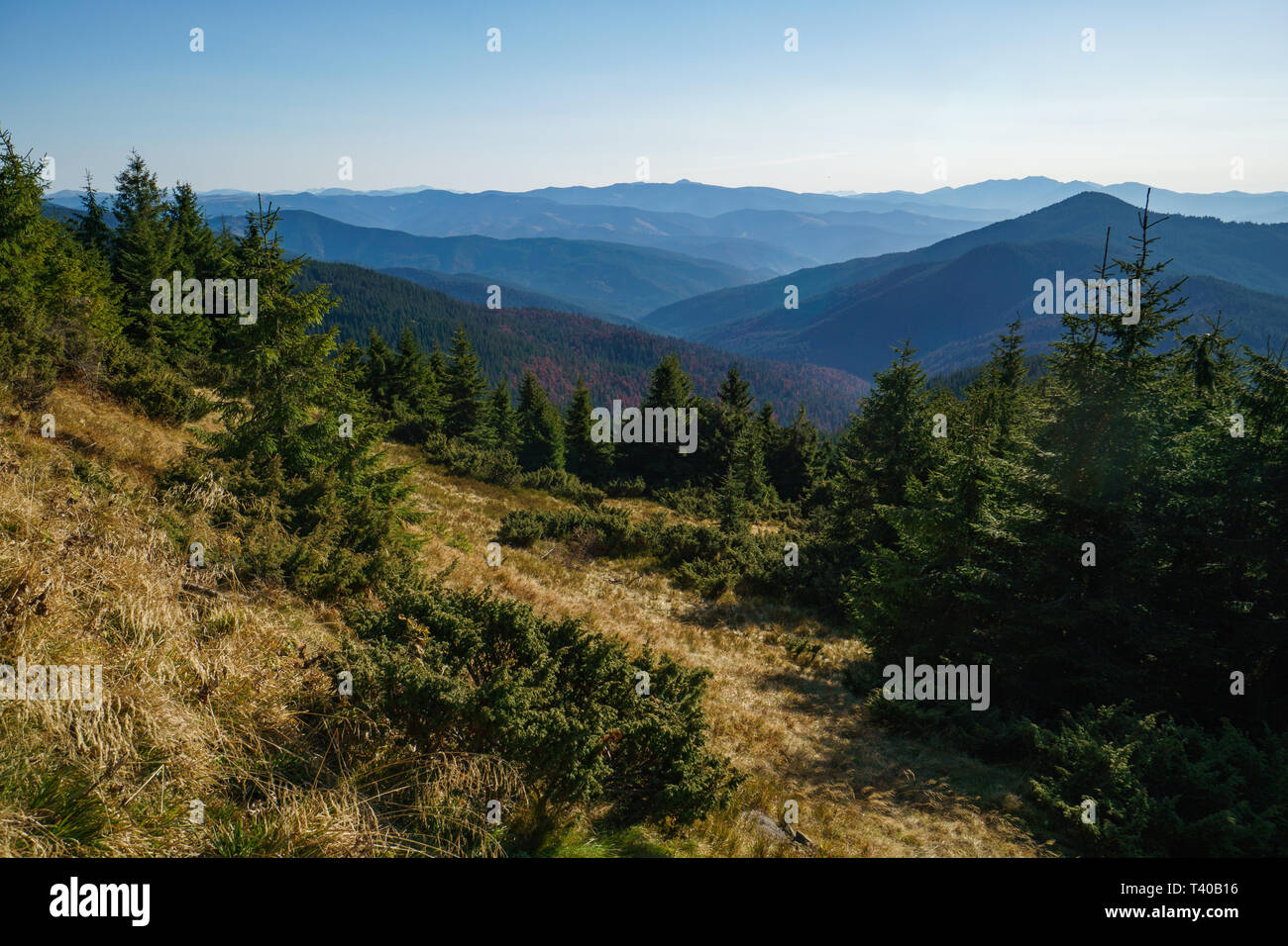 Landschaft der Ukrainischen Karpaten. Der Berg ist in der östlichen Beskiden, in der Chornohora Region. Sonnigen Tag in den Karpaten Stockfoto