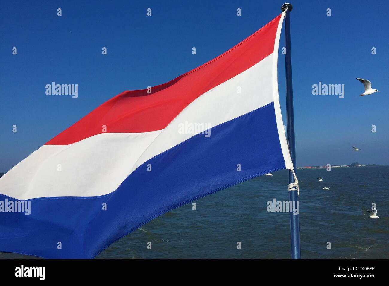 Niederlande Flagge auf dem Boot von Volendam Nordholland Stockfoto