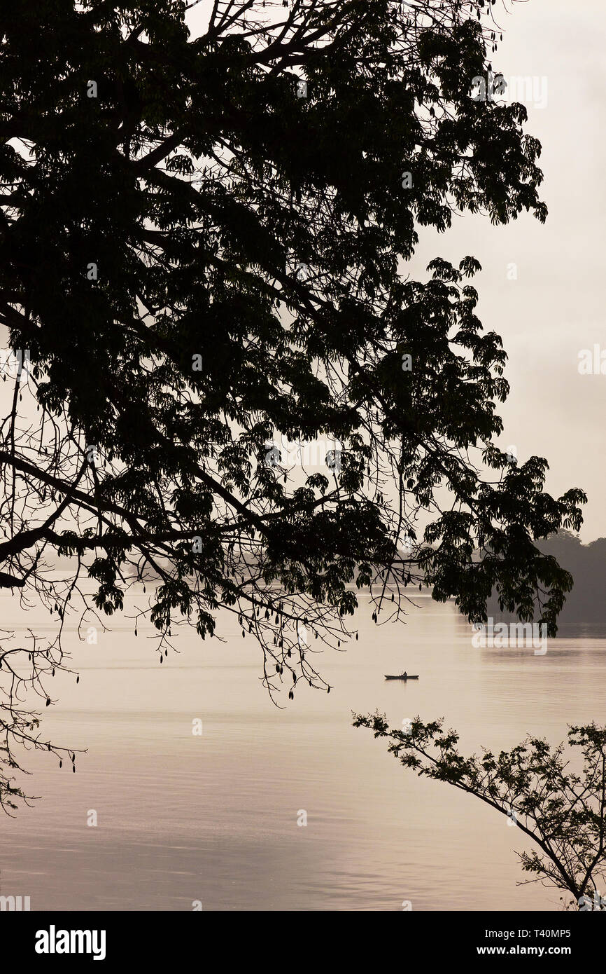 Angeln Boot durch Bäume und früh Morgens Nebel auf Mündung von Sierra Leone - vom Port Operations Bereich für den Transport von Eisenerz. Stockfoto