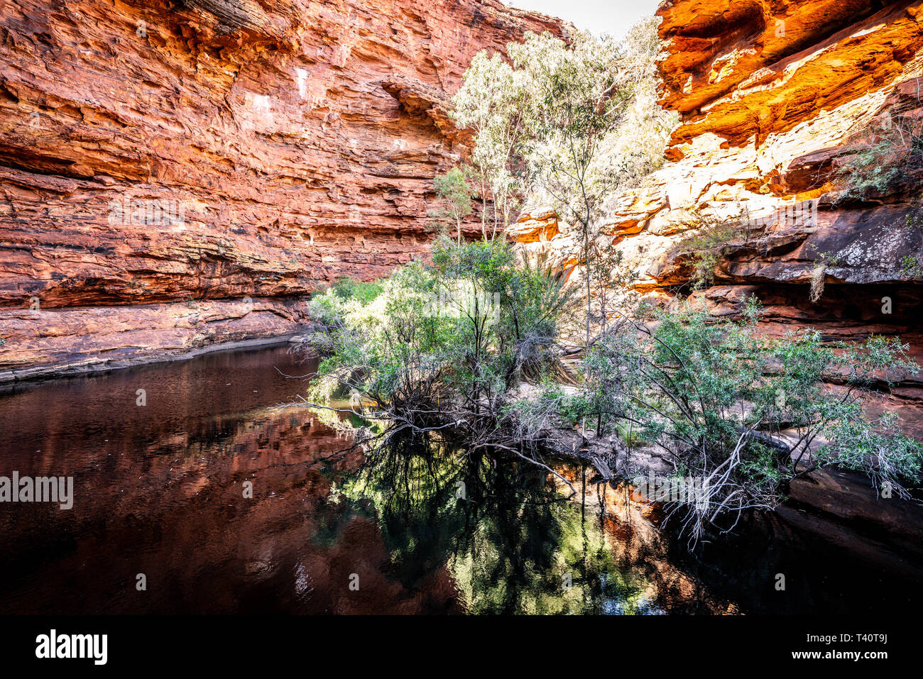 Blick auf das Wasserloch im Garten Eden im Kings Canyon in WINDOWS NT Outback Australien Stockfoto