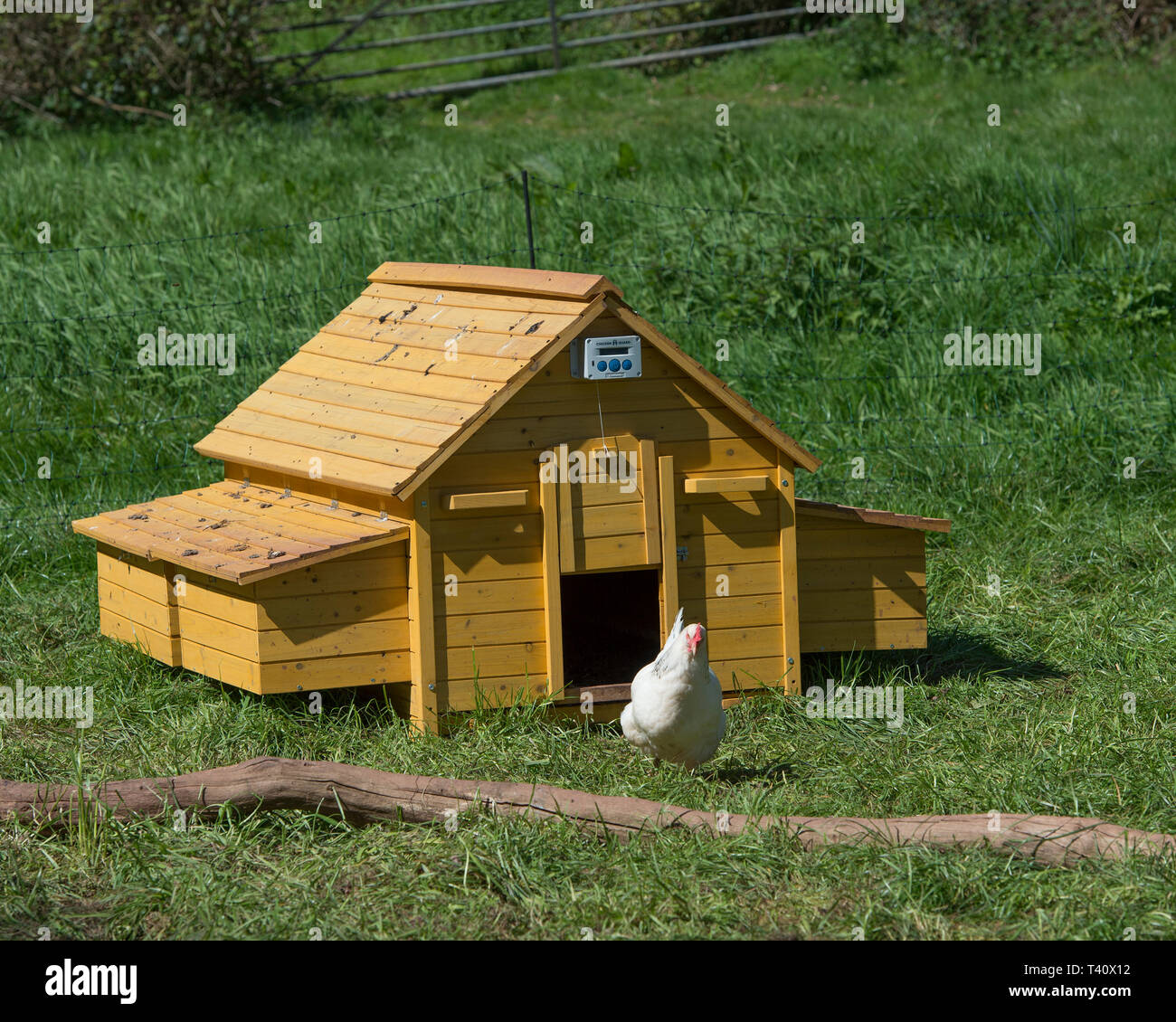 Hühnerstall mit Tür auf Timer Stockfoto