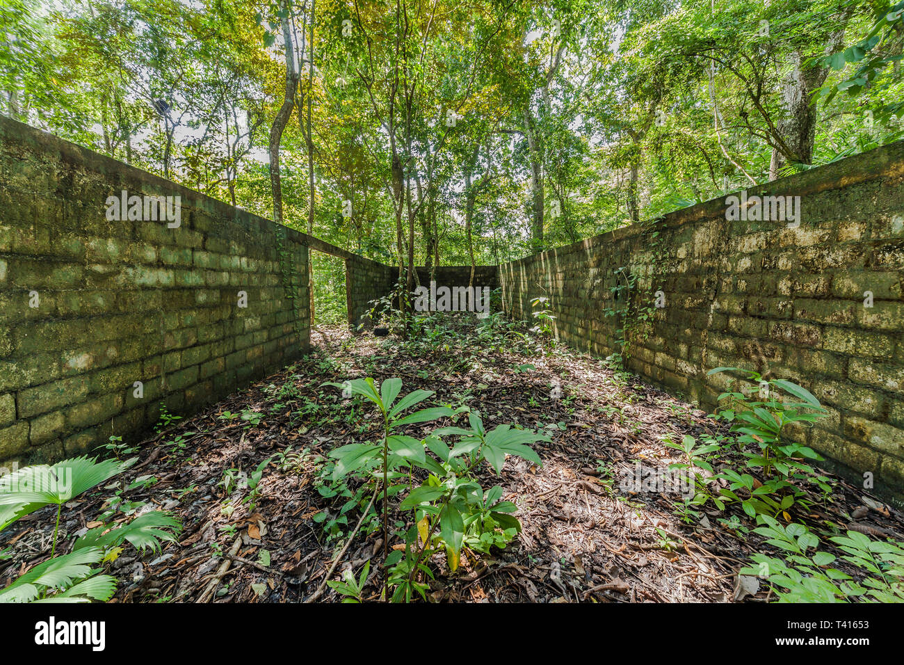 Ruine in Metropolitan Nationalpark in Panama-City. Verlorene Orte. Stockfoto