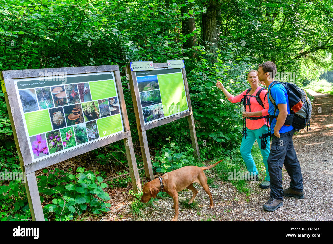 Abenteuer Wanderung im Naturpark Stockfoto