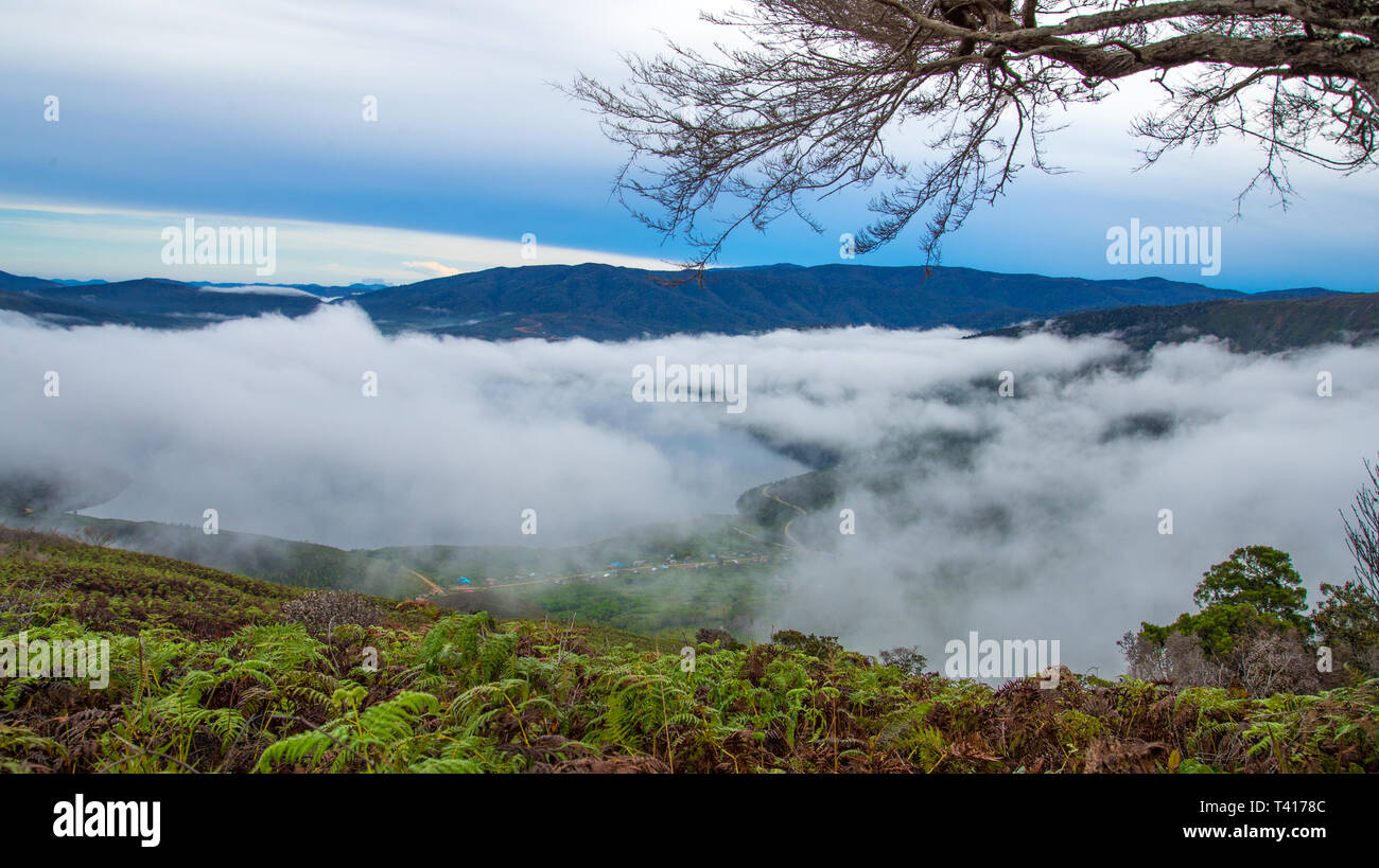 Nebel über Arfak Berge und Seen Anggi, West Papua, Indonesien Stockfoto