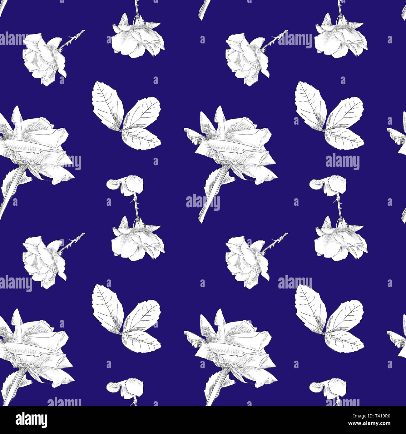 Muster der Hand Rosen in weiß mit einem blauen Hintergrund_2000x2000_bericht__ durch jziprian gezeichnet Stockfoto