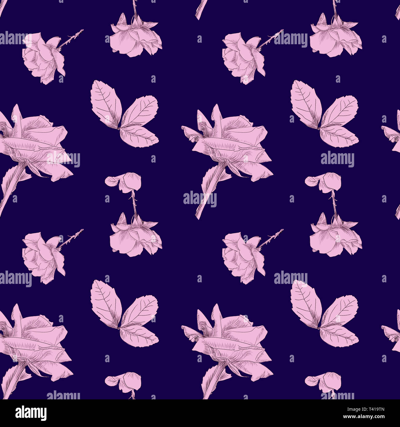 Muster der Hand Rosen in Pink mit einem blauen Hintergrund_2000 x 2000 px repeat_durch jziprian gezeichnet Stockfoto