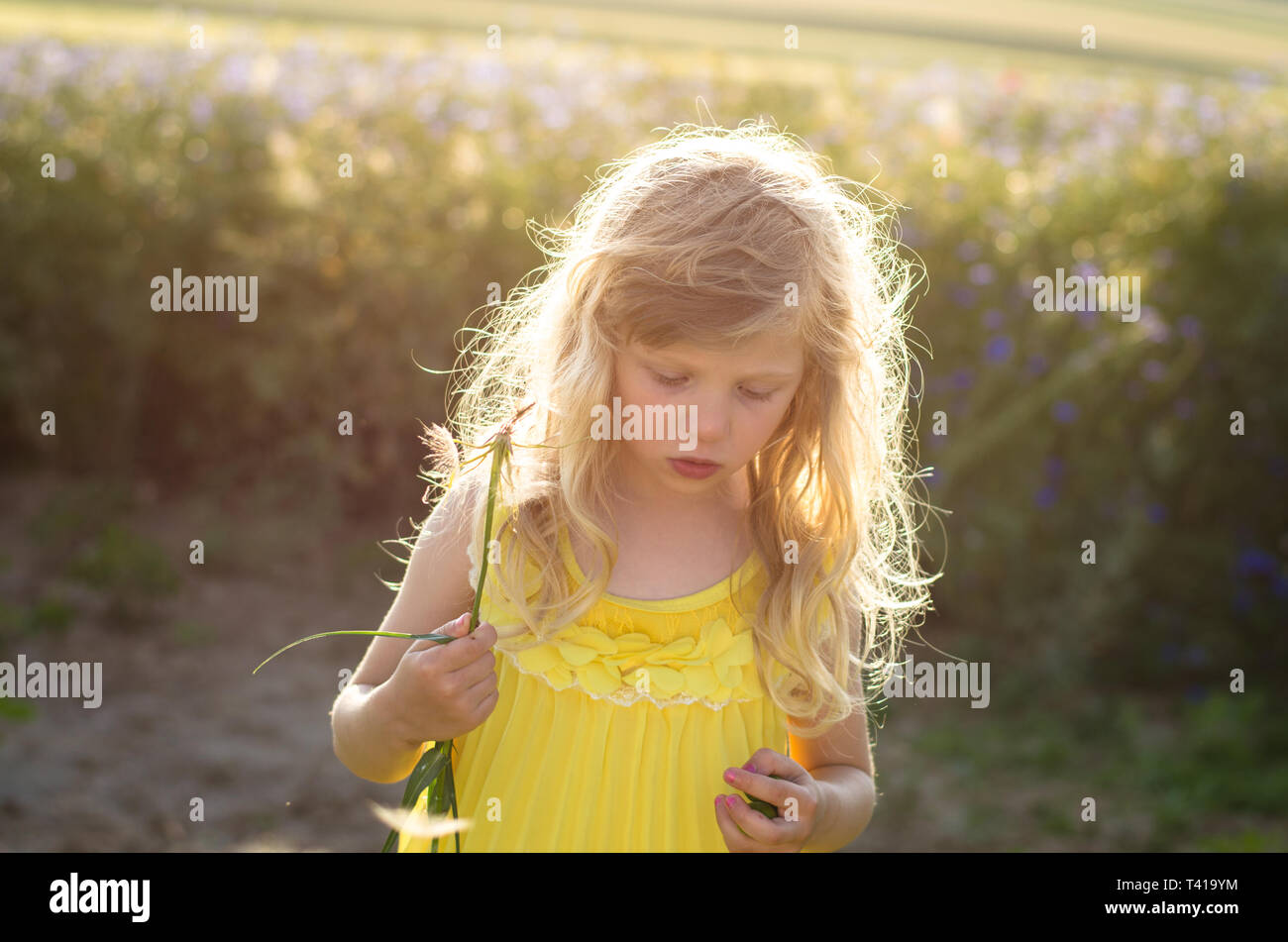 Adorable blonde Mädchen in gelbem Kleid Stockfoto