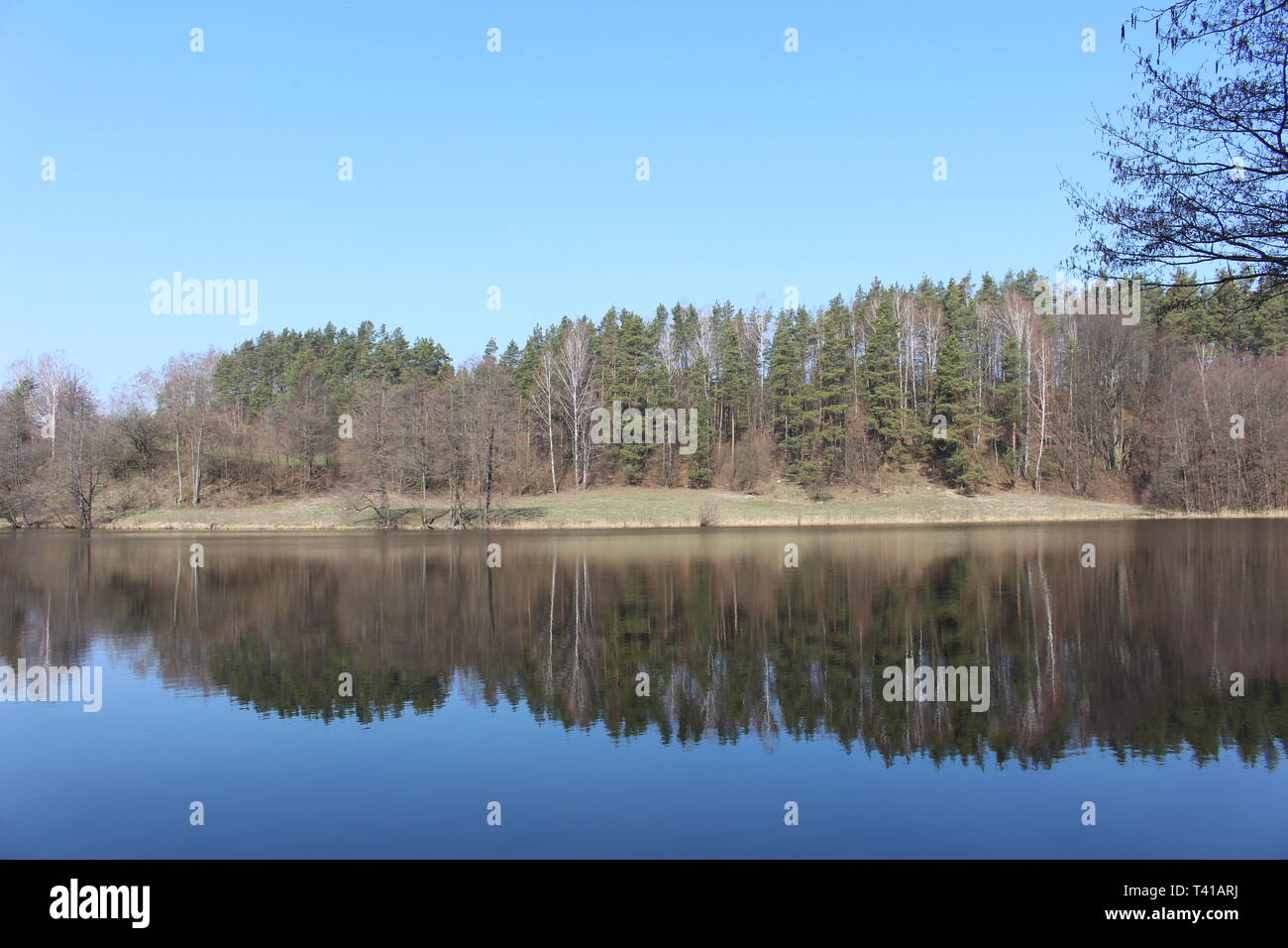 Blick auf den See (Suwalki Landschaftspark, Podlasien, Polen, Europa) Stockfoto