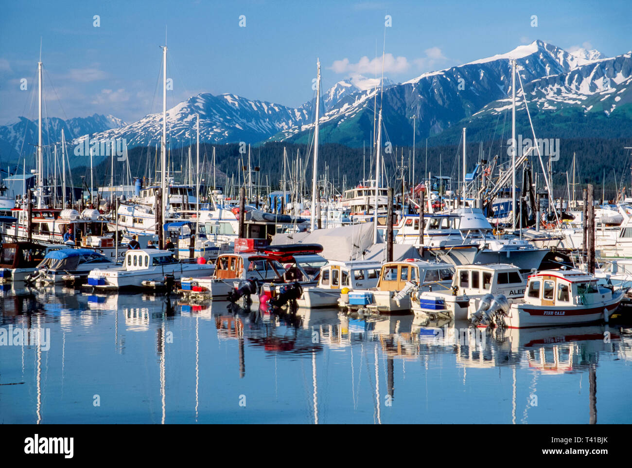 Alaska, Nordwesten, Norden, 49th State, Alaska, Arktis, die letzte Grenze, Seward Municipal Boat Harbor Chugah Range, Berge, Gipfel, Grate, Besucher reisen tr Stockfoto